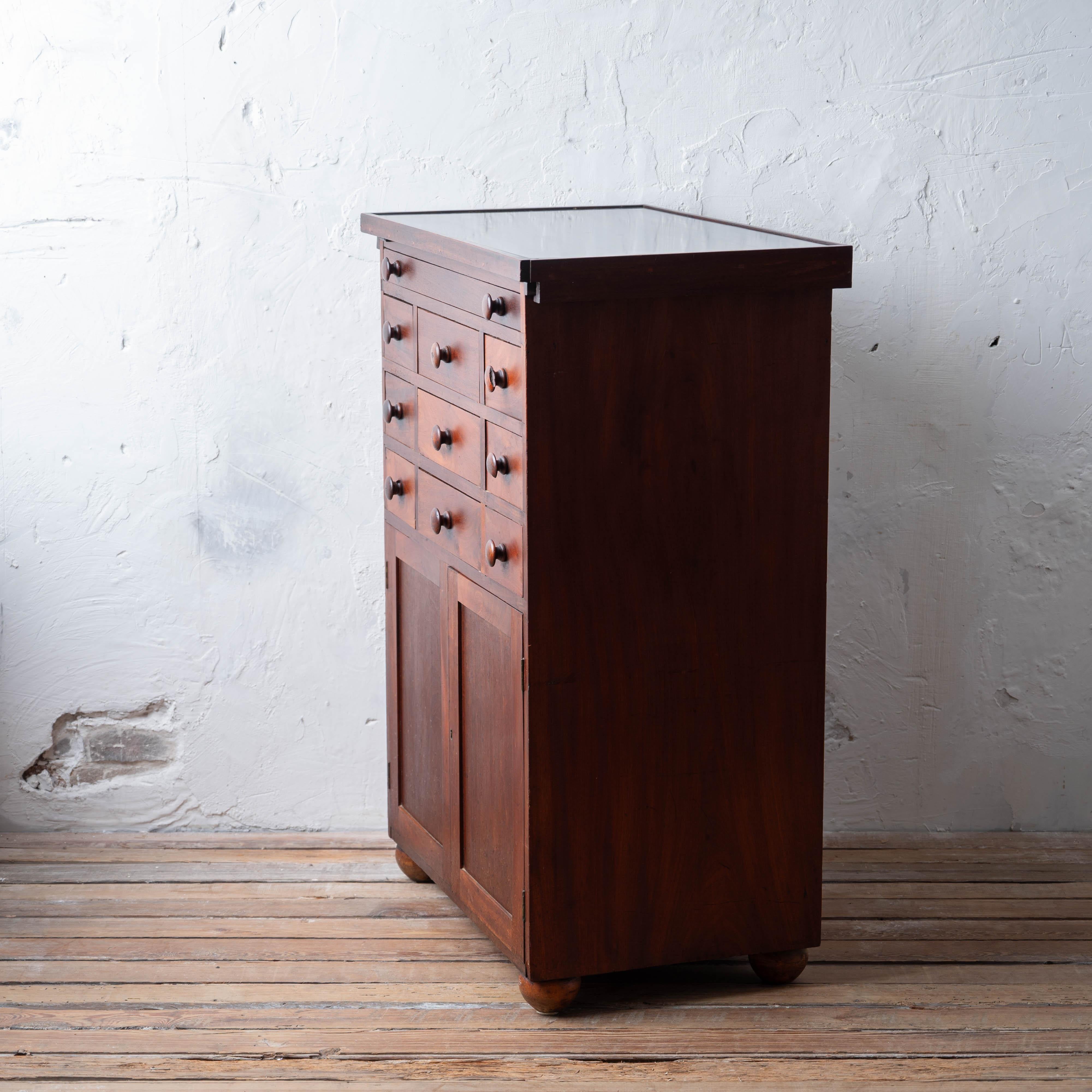 Mahogany Slate-Top Apothecary Cabinet, 19th Century For Sale 7