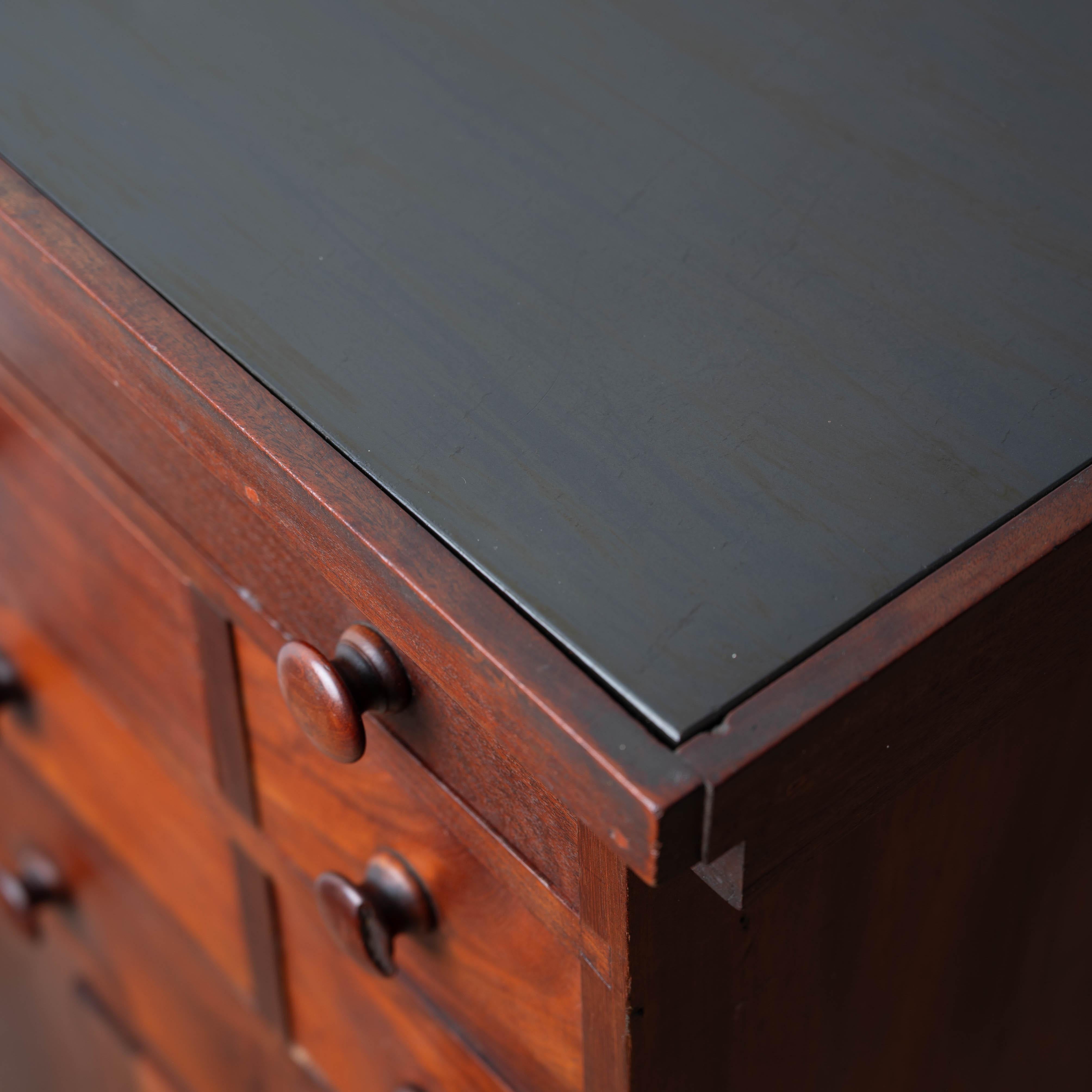 Mahogany Slate-Top Apothecary Cabinet, 19th Century For Sale 8