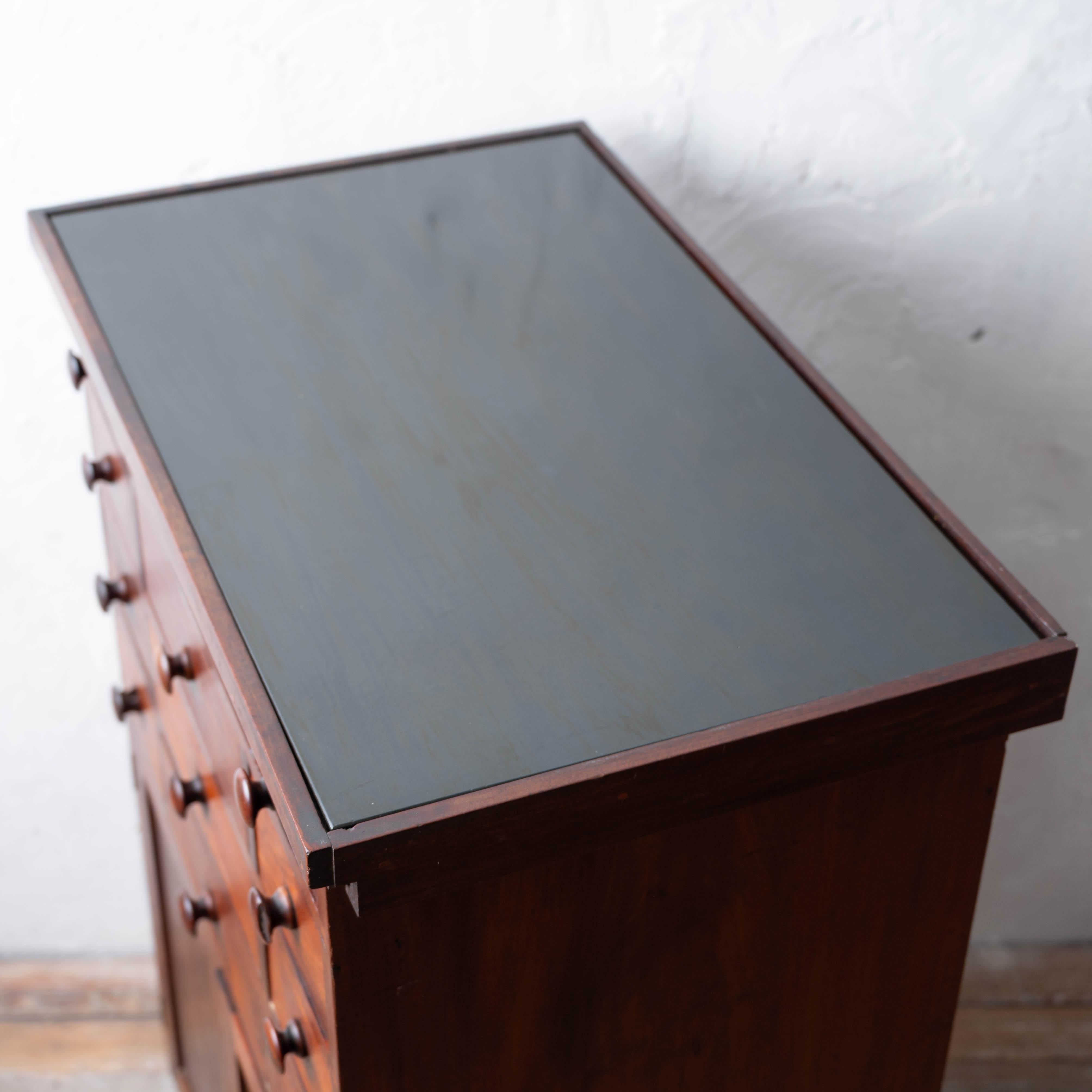 Mahogany Slate-Top Apothecary Cabinet, 19th Century For Sale 9