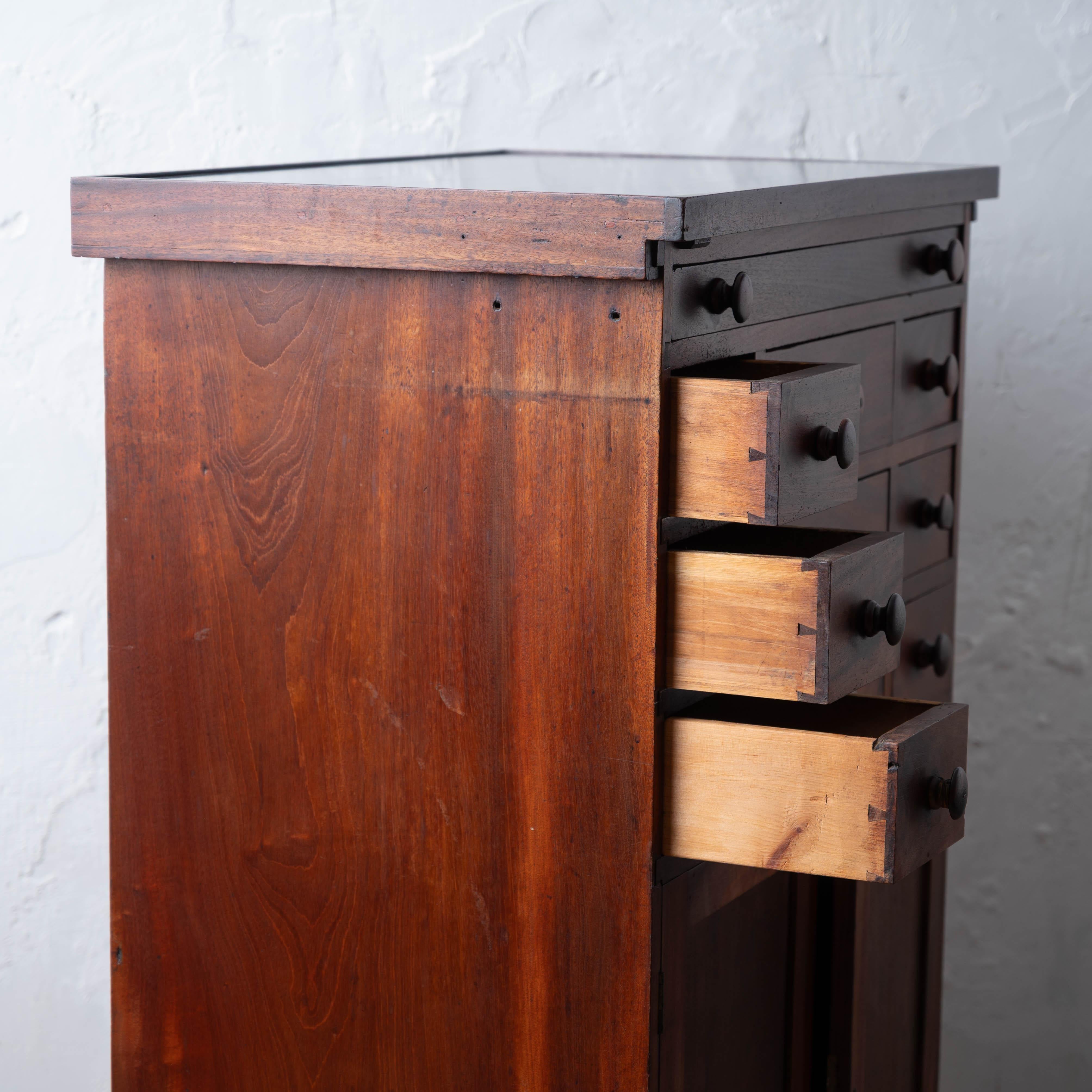 Mahogany Slate-Top Apothecary Cabinet, 19th Century For Sale 10