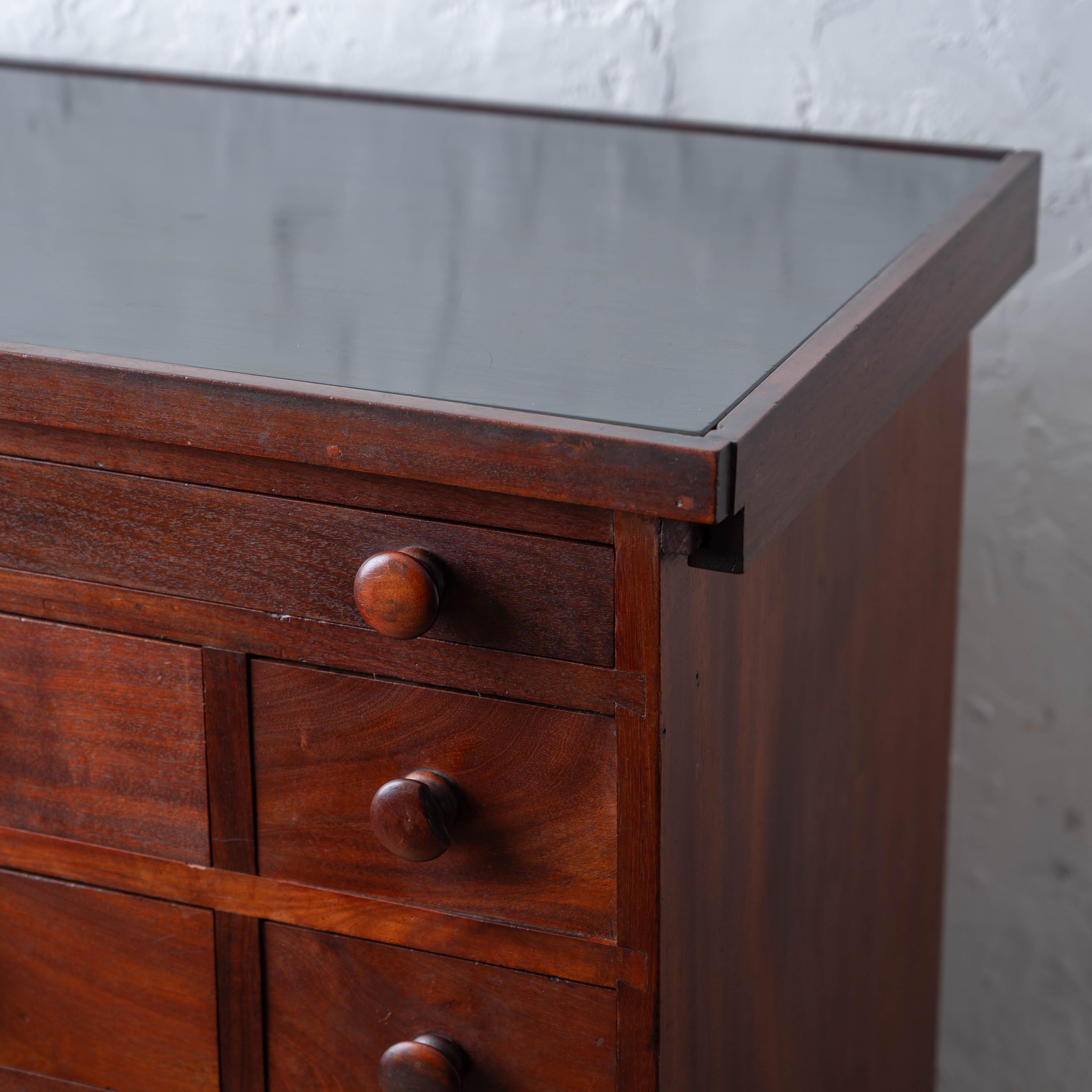 Mahogany Slate-Top Apothecary Cabinet, 19th Century For Sale 1