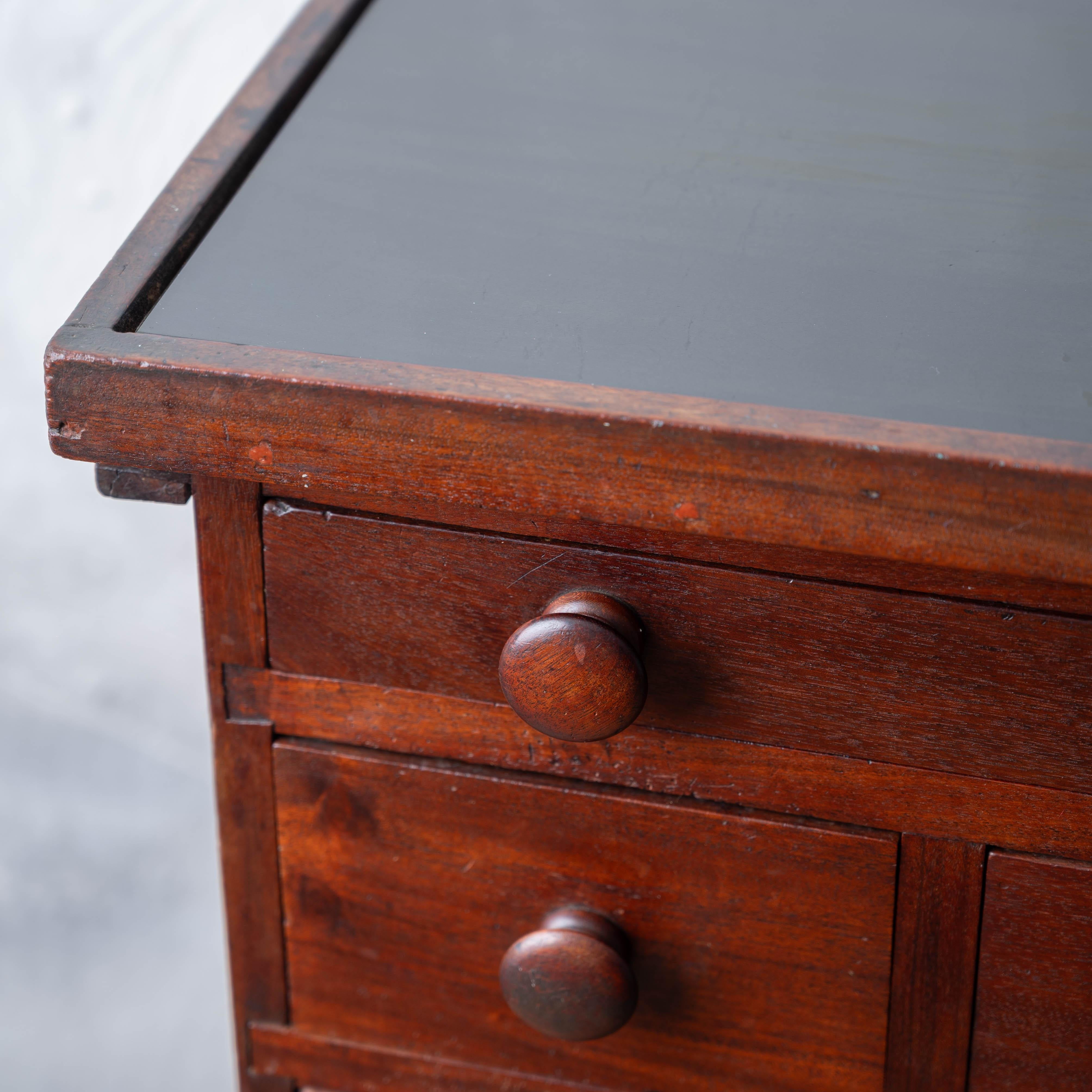 Mahogany Slate-Top Apothecary Cabinet, 19th Century For Sale 2