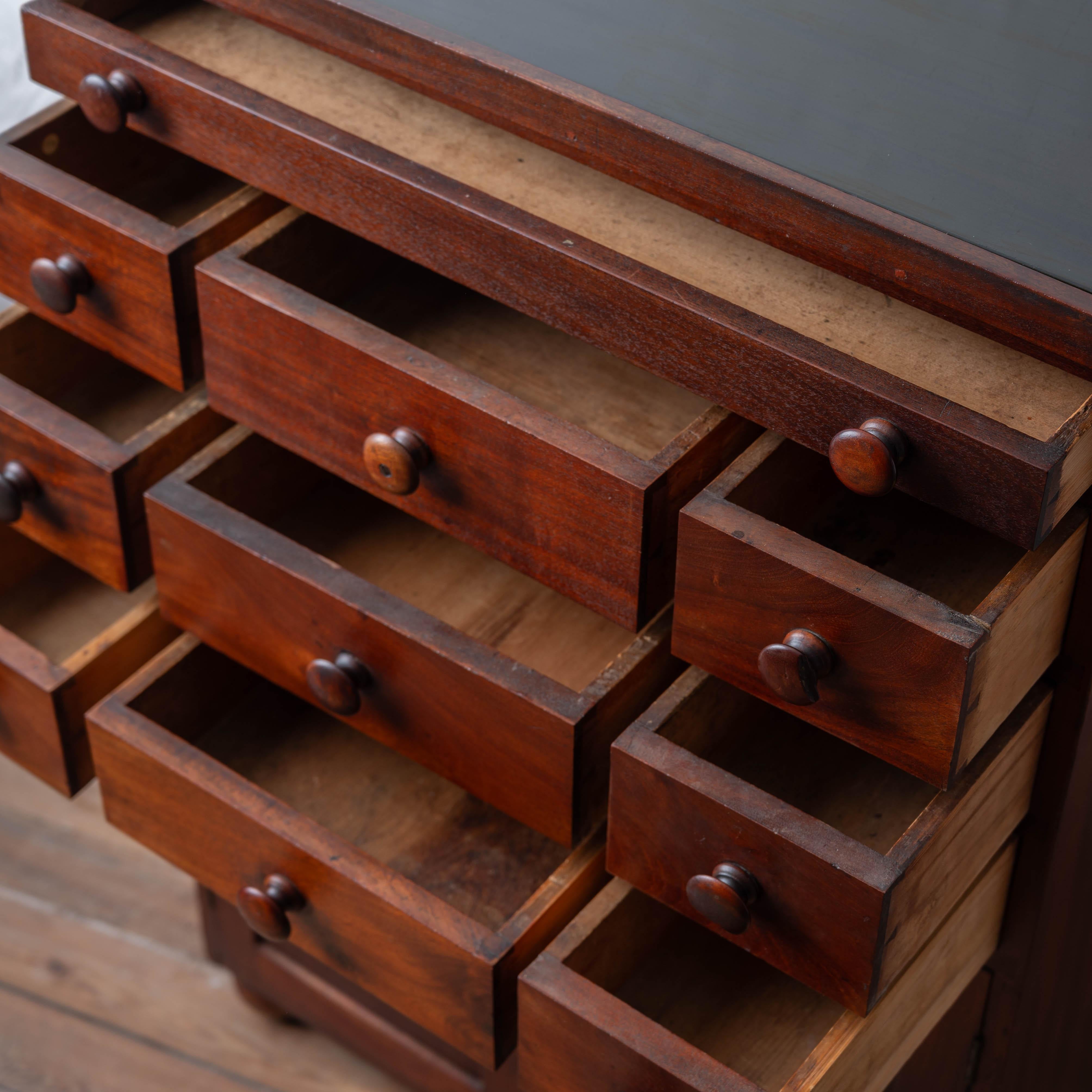Mahogany Slate-Top Apothecary Cabinet, 19th Century For Sale 4