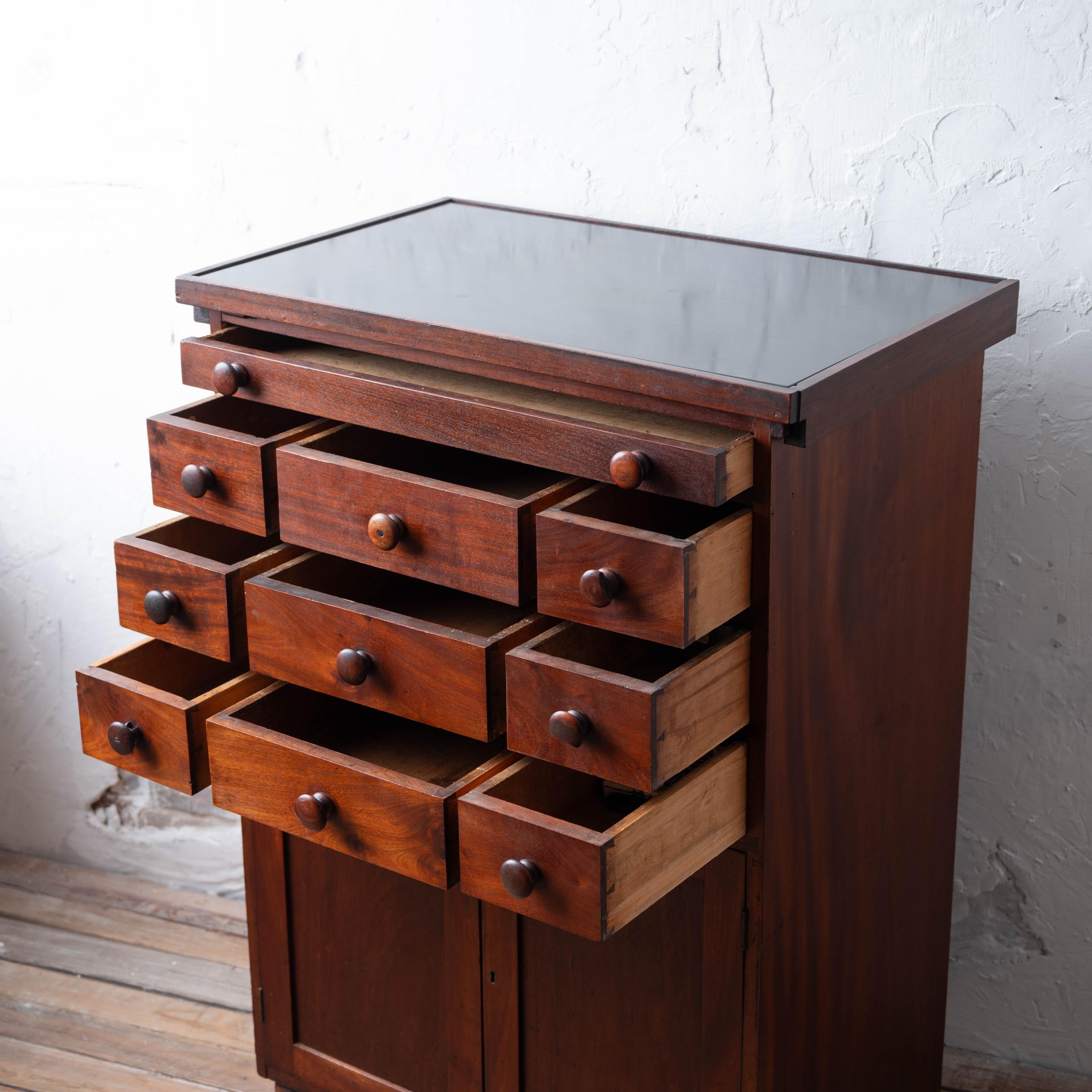 Mahogany Slate-Top Apothecary Cabinet, 19th Century For Sale 5