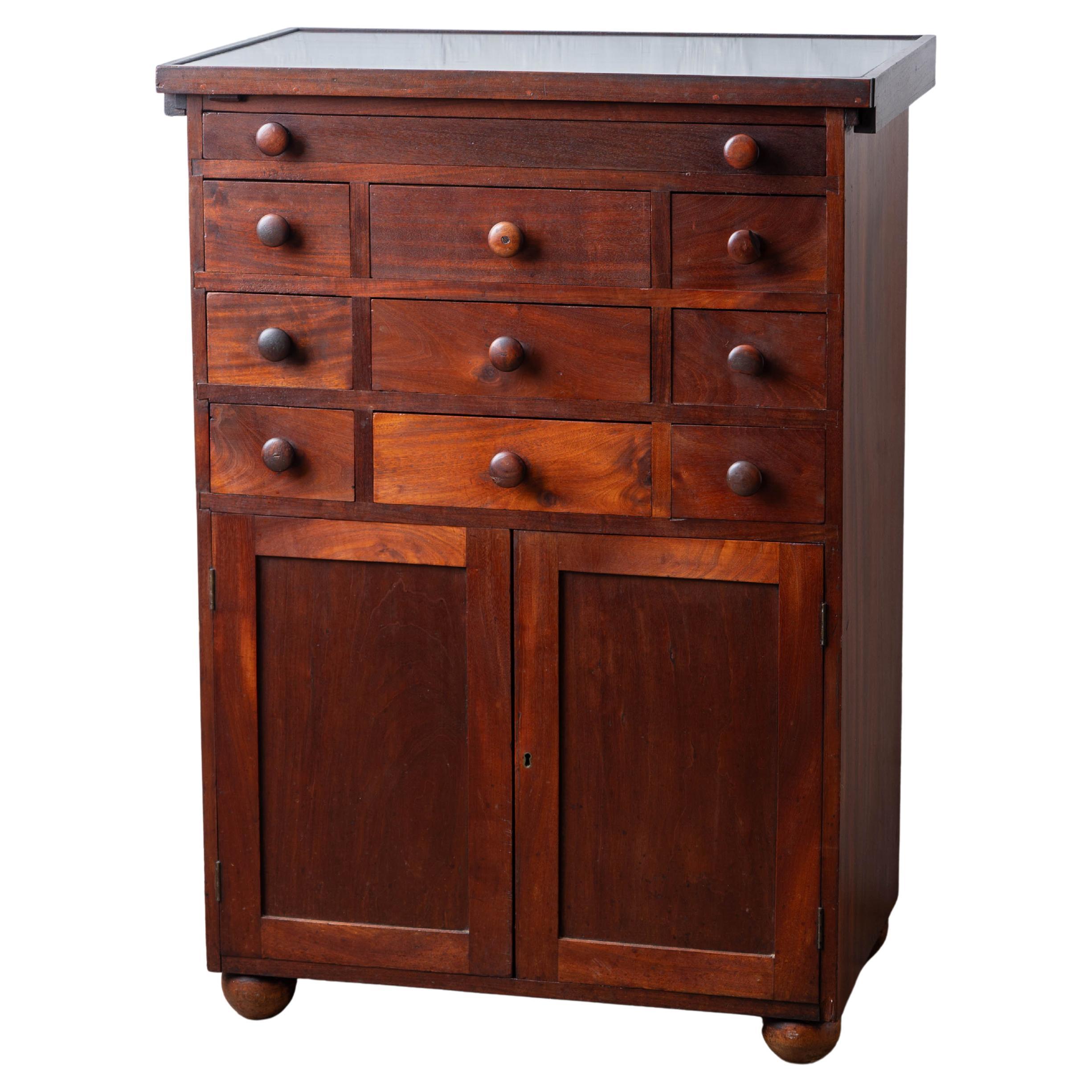 Mahogany Slate-Top Apothecary Cabinet, 19th Century For Sale