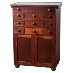 Used Mahogany Slate-Top Apothecary Cabinet, 19th Century