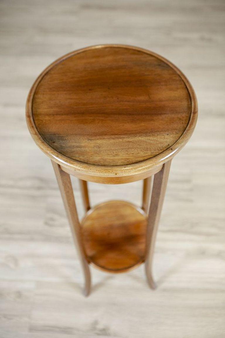 Polish Mahogany Table/Plant Stand from the 20th Century For Sale