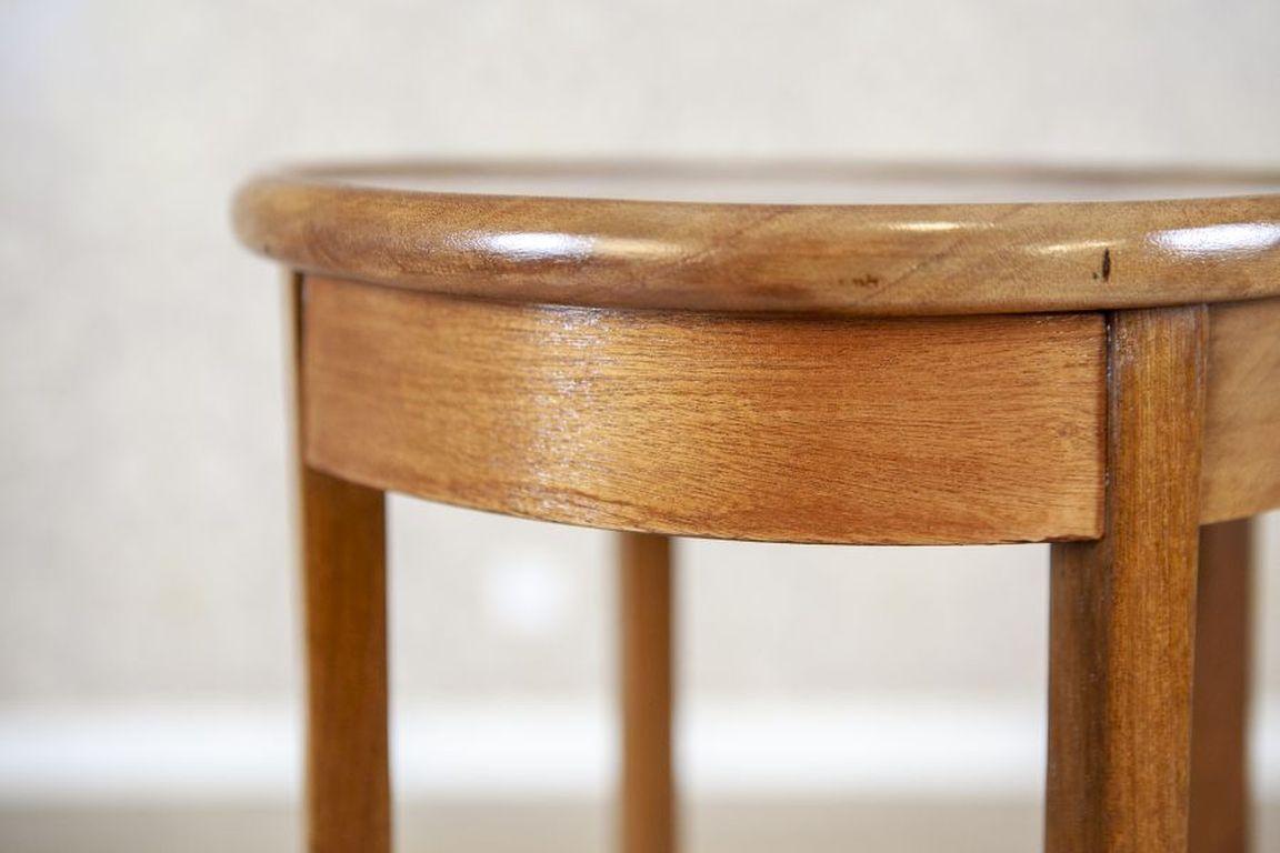 Mahogany Table/Plant Stand from the 20th Century For Sale 1