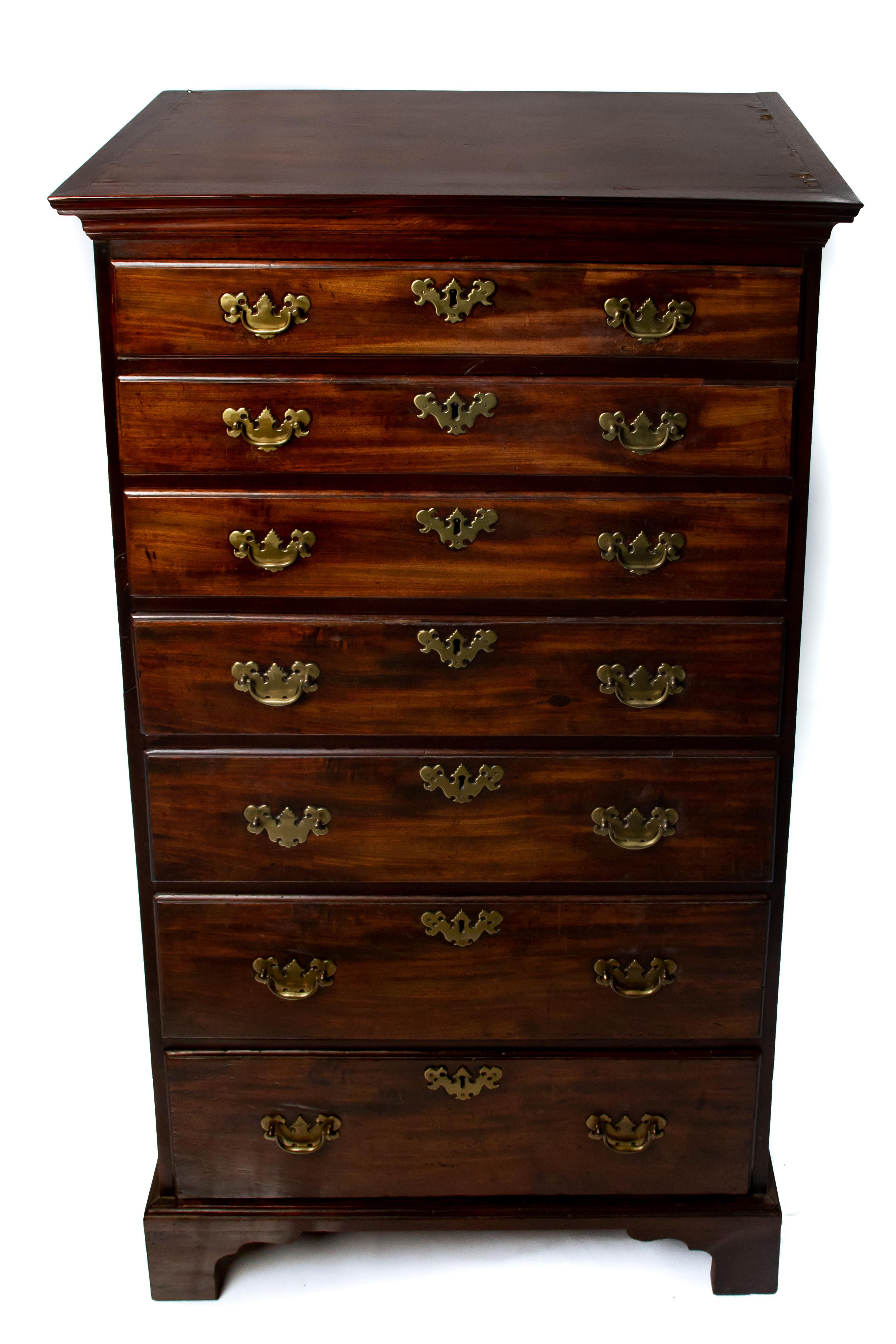 Mahogany Tall Chest, 19th Century For Sale 3