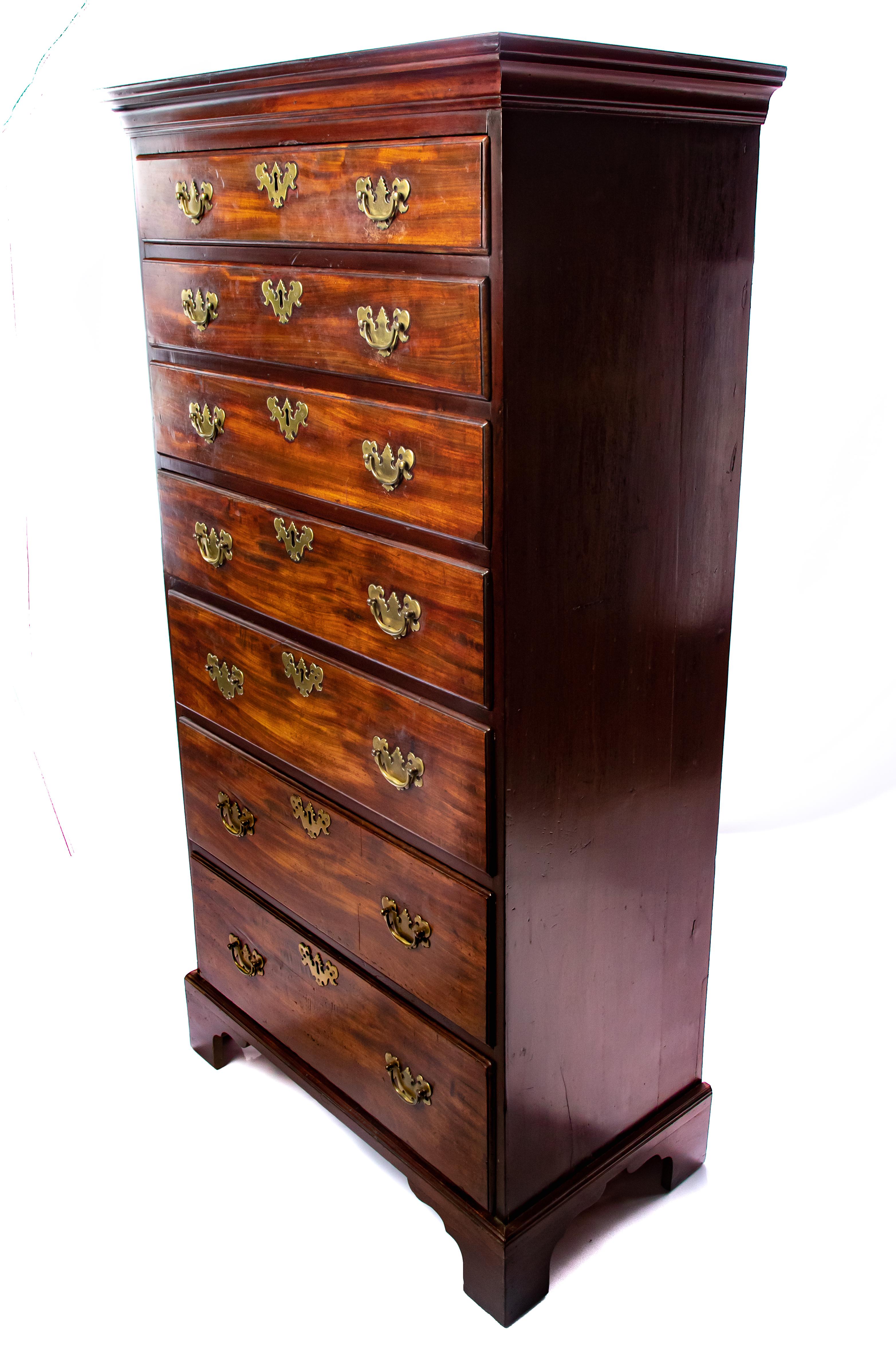 Mahogany Tall Chest, 19th Century For Sale 4