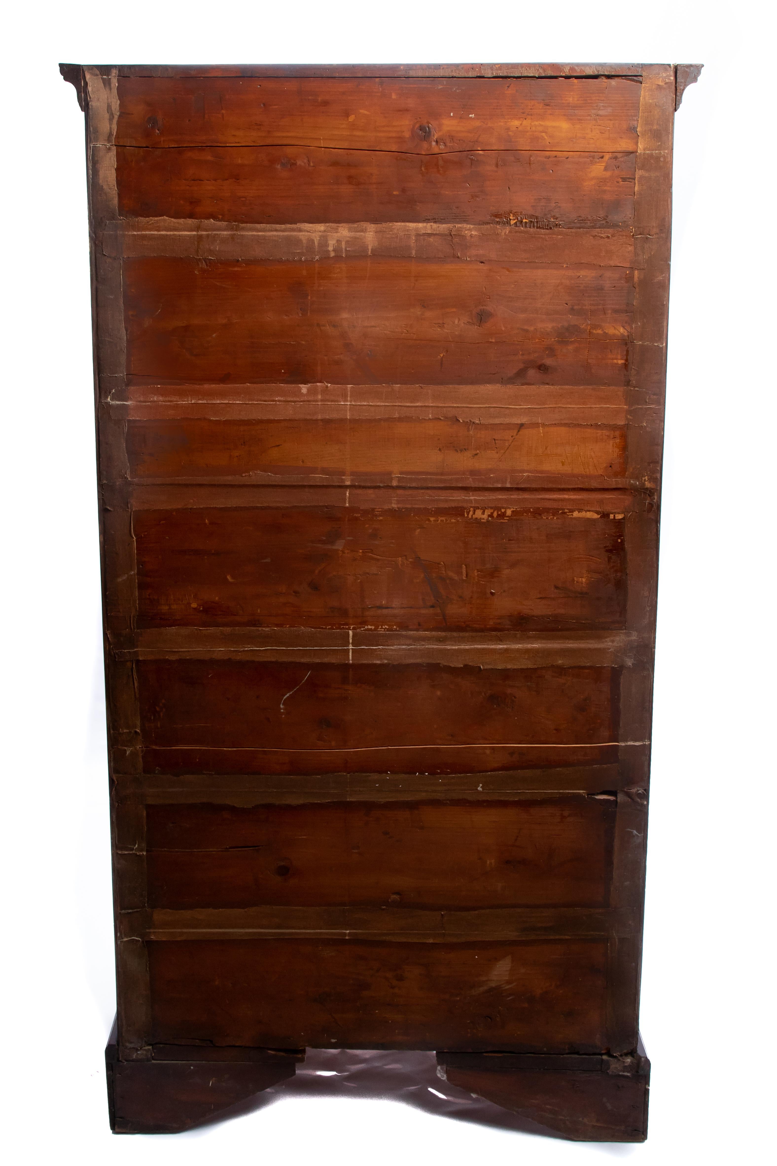 Mahogany Tall Chest, 19th Century For Sale 6