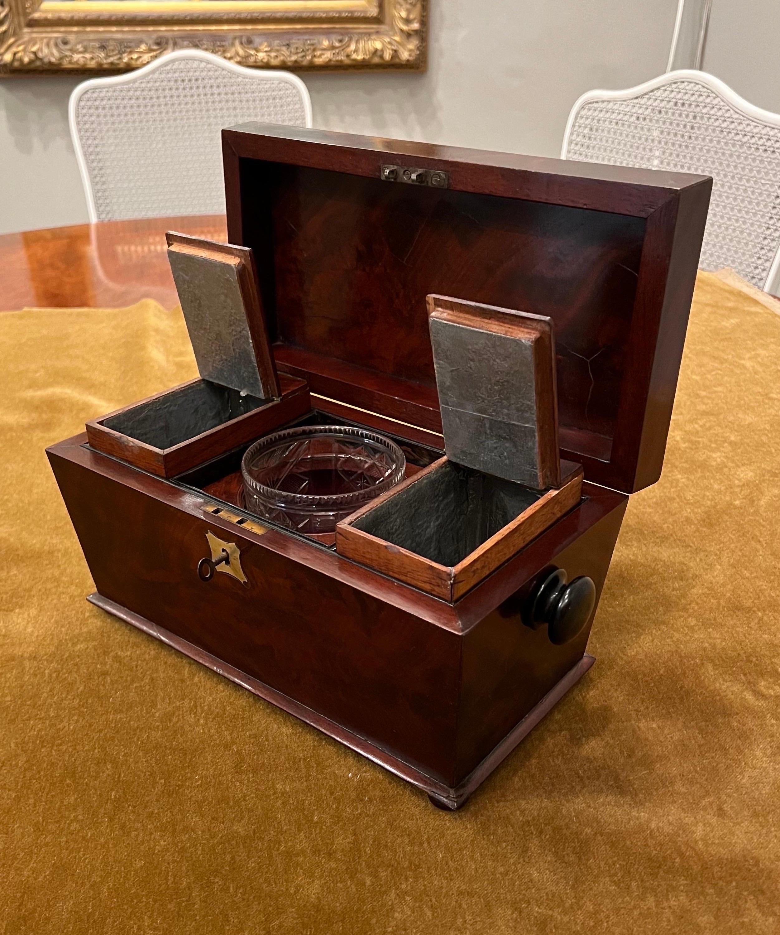 Mahogany Tea Caddy, Sarcophagus form, Early 19th Century For Sale 5