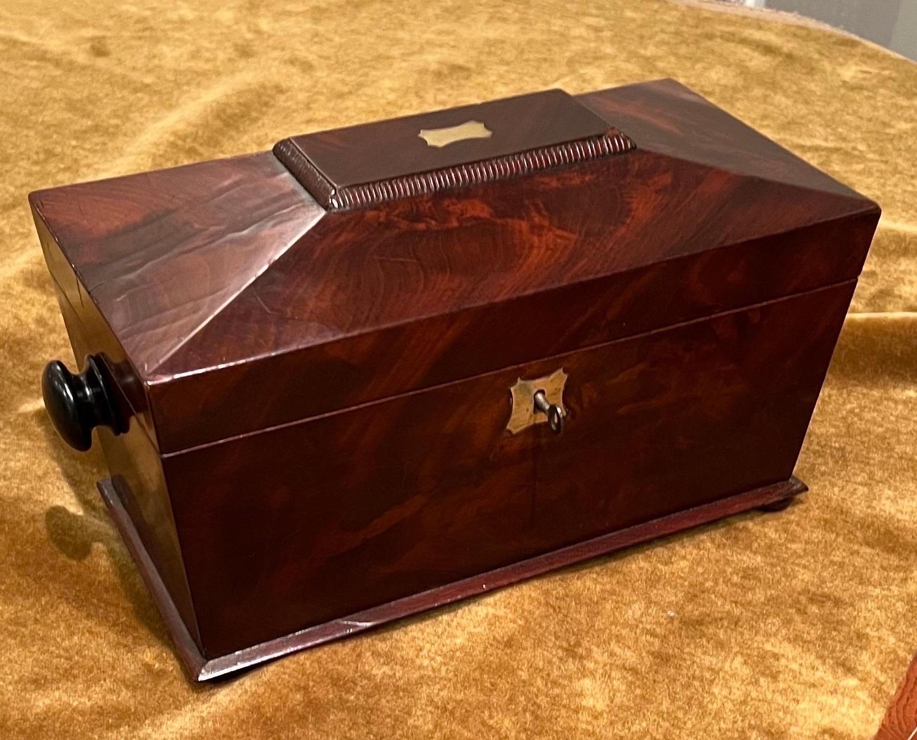 George IV Mahogany Tea Caddy, Sarcophagus form, Early 19th Century For Sale