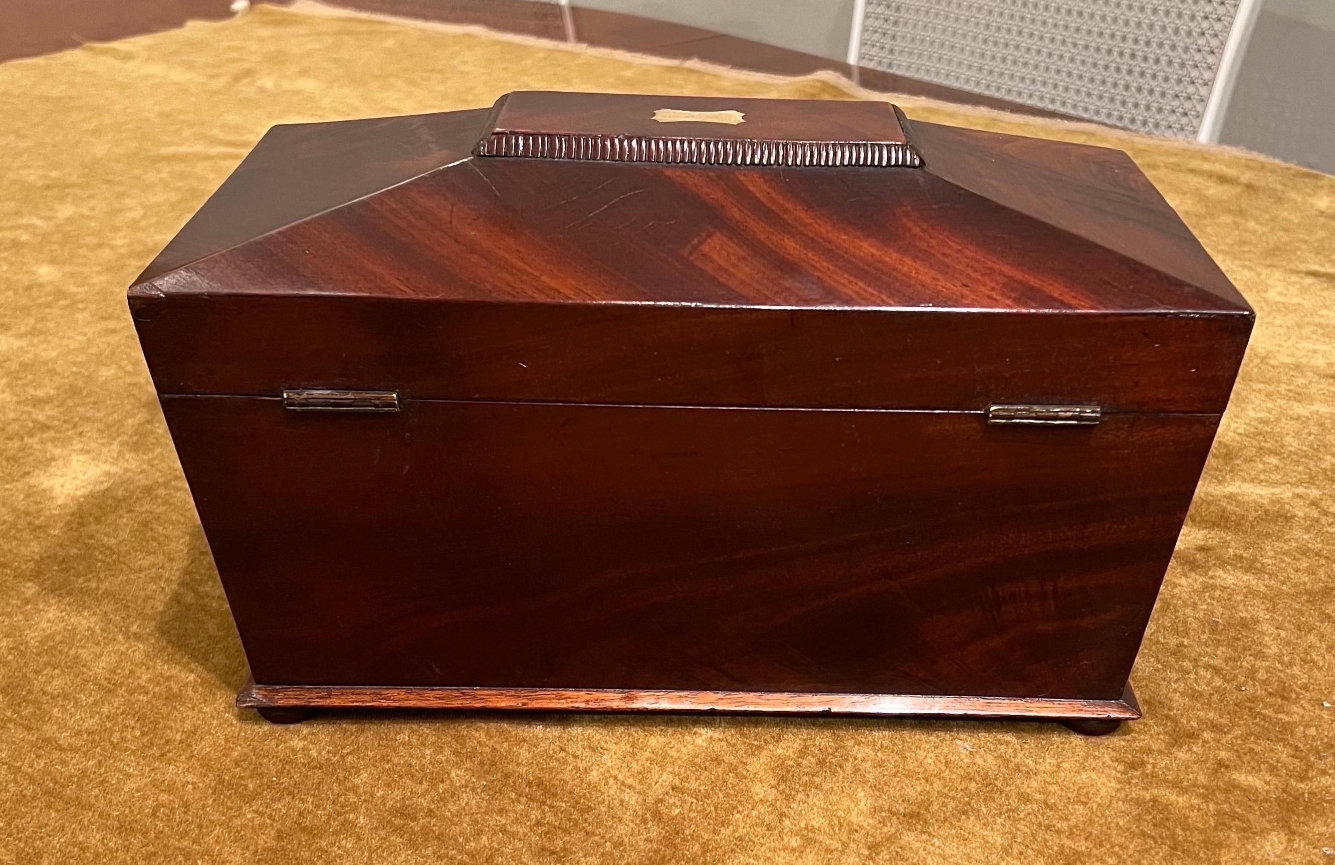 English Mahogany Tea Caddy, Sarcophagus form, Early 19th Century For Sale