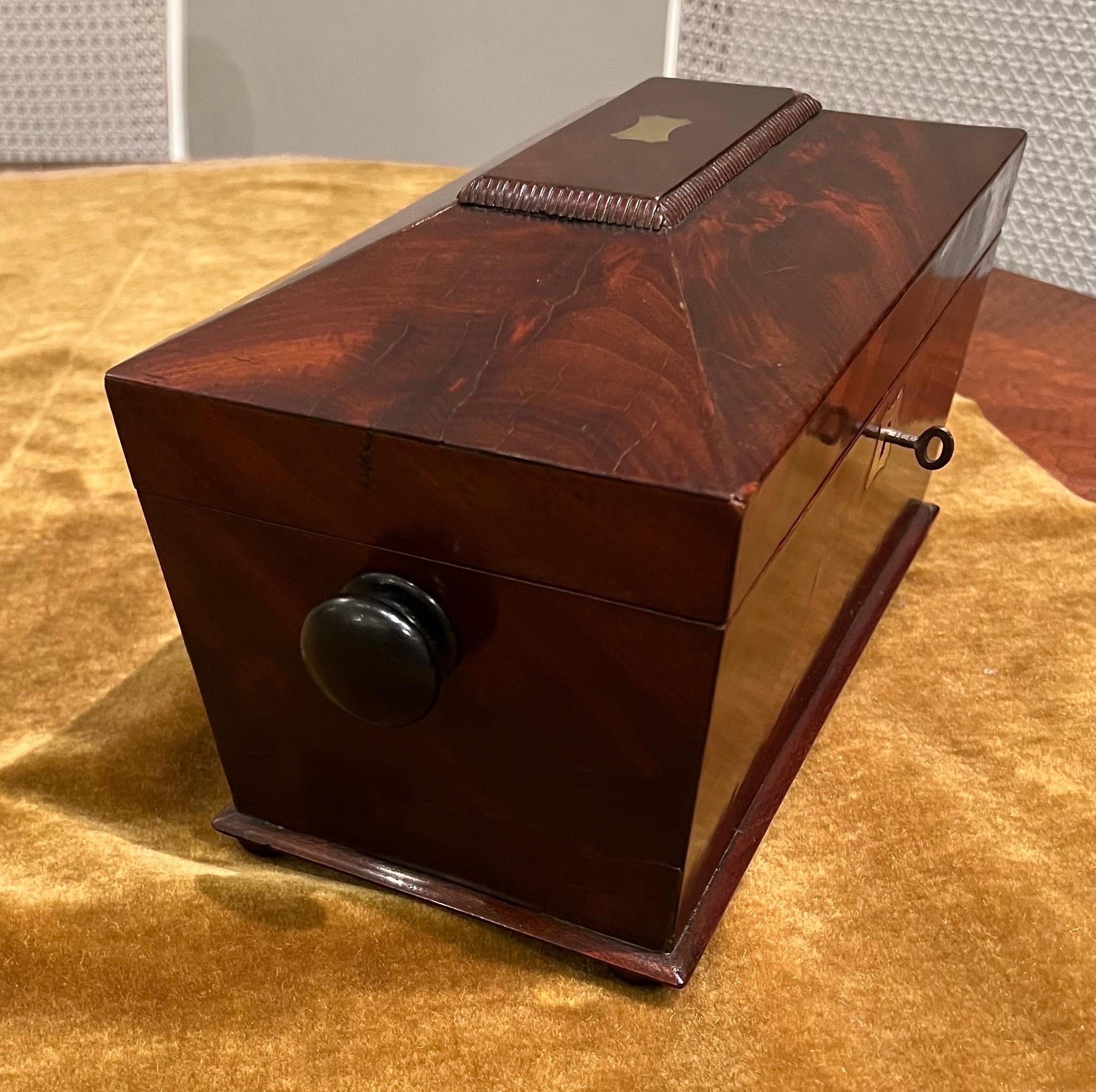 Mahogany Tea Caddy, Sarcophagus form, Early 19th Century 1