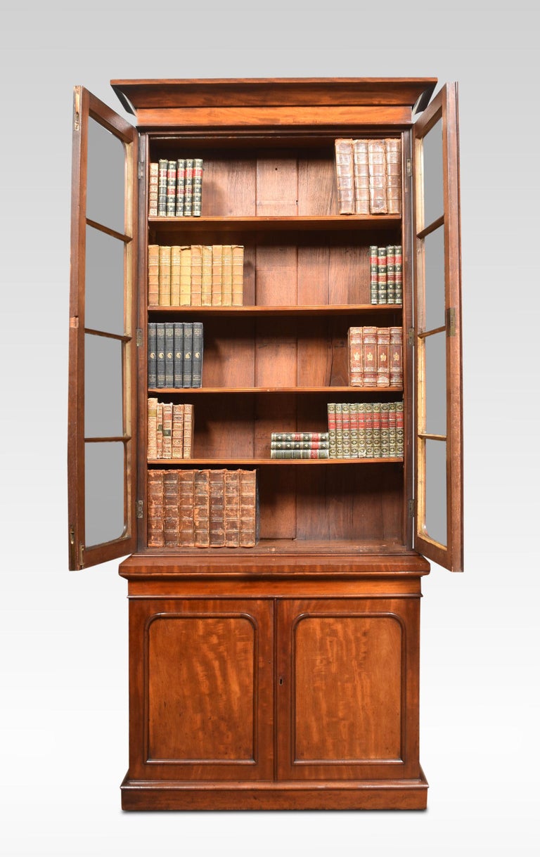 Mahogany Two Door Narrow Bookcase For Sale at 1stDibs
