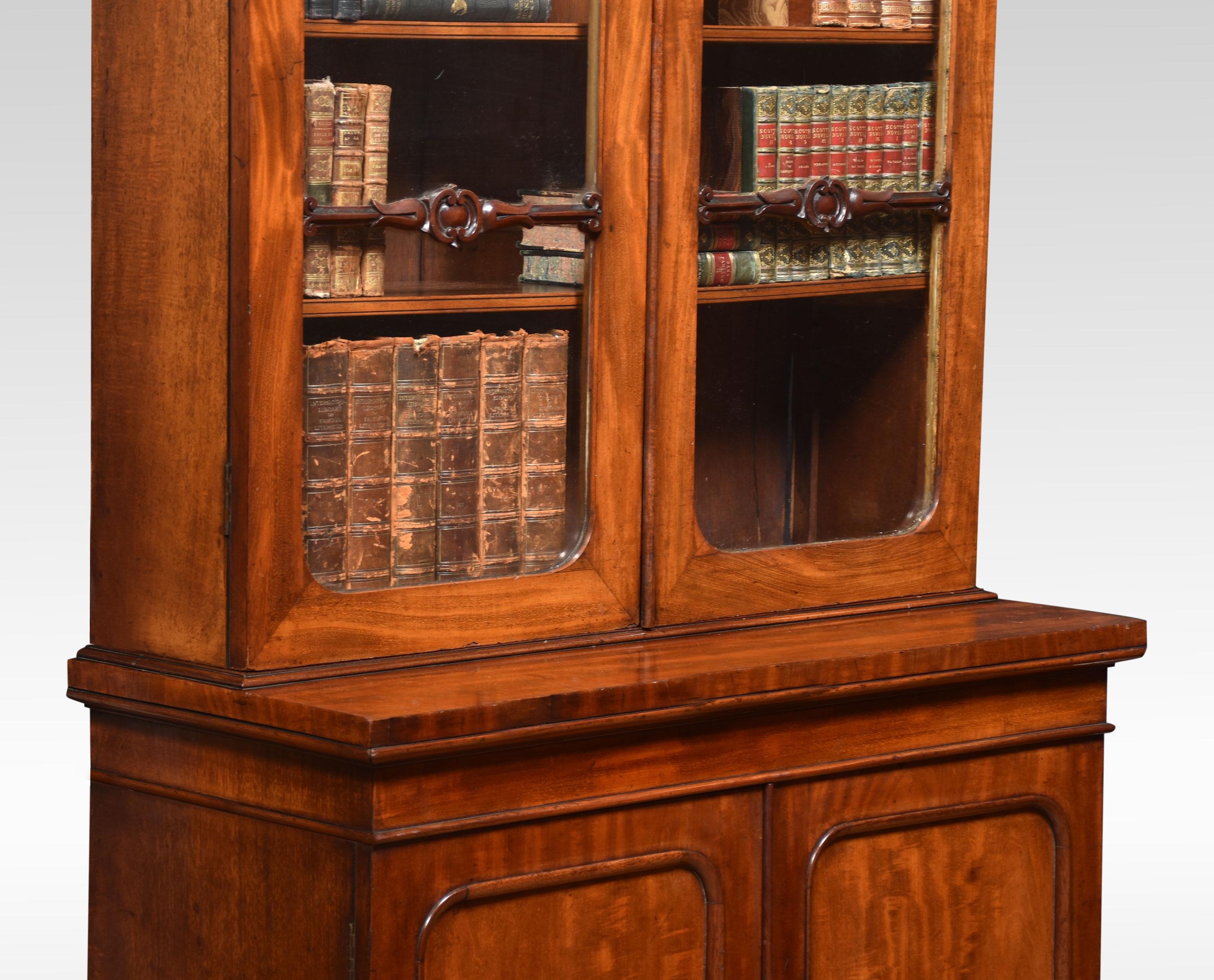 Schmales Mahagoni-Bücherregal mit zwei Türen (19. Jahrhundert) im Angebot