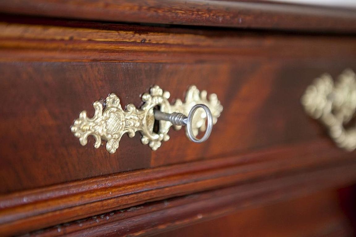 Antique Brown Vertico Cabinet with Brass Details, circa 1880 6