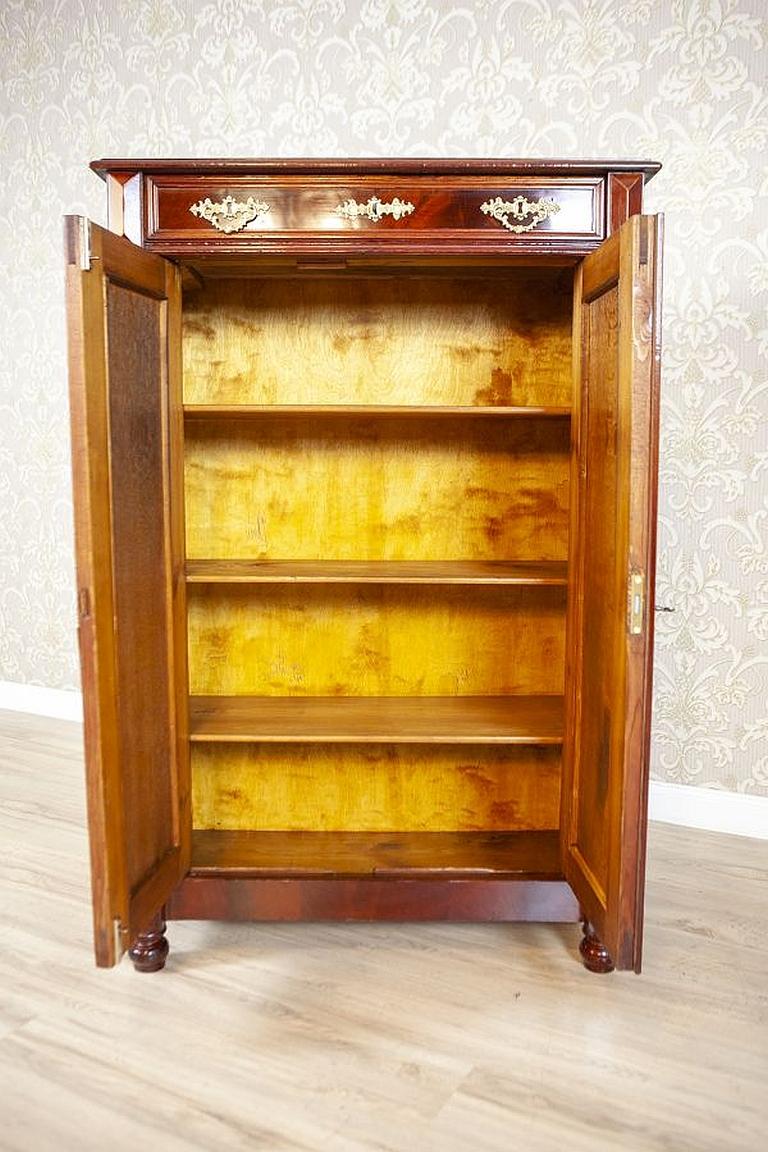 19th Century Antique Brown Vertico Cabinet with Brass Details, circa 1880