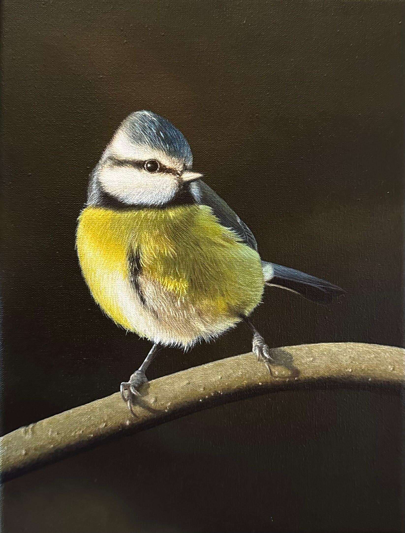 Blaumeise - 21. Jahrhundert Zeitgenössische Acrylmalerei eines Vogels