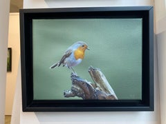 European Robin I - 21st Century Contemporary Acrylic Painting Red-Breasted Bird