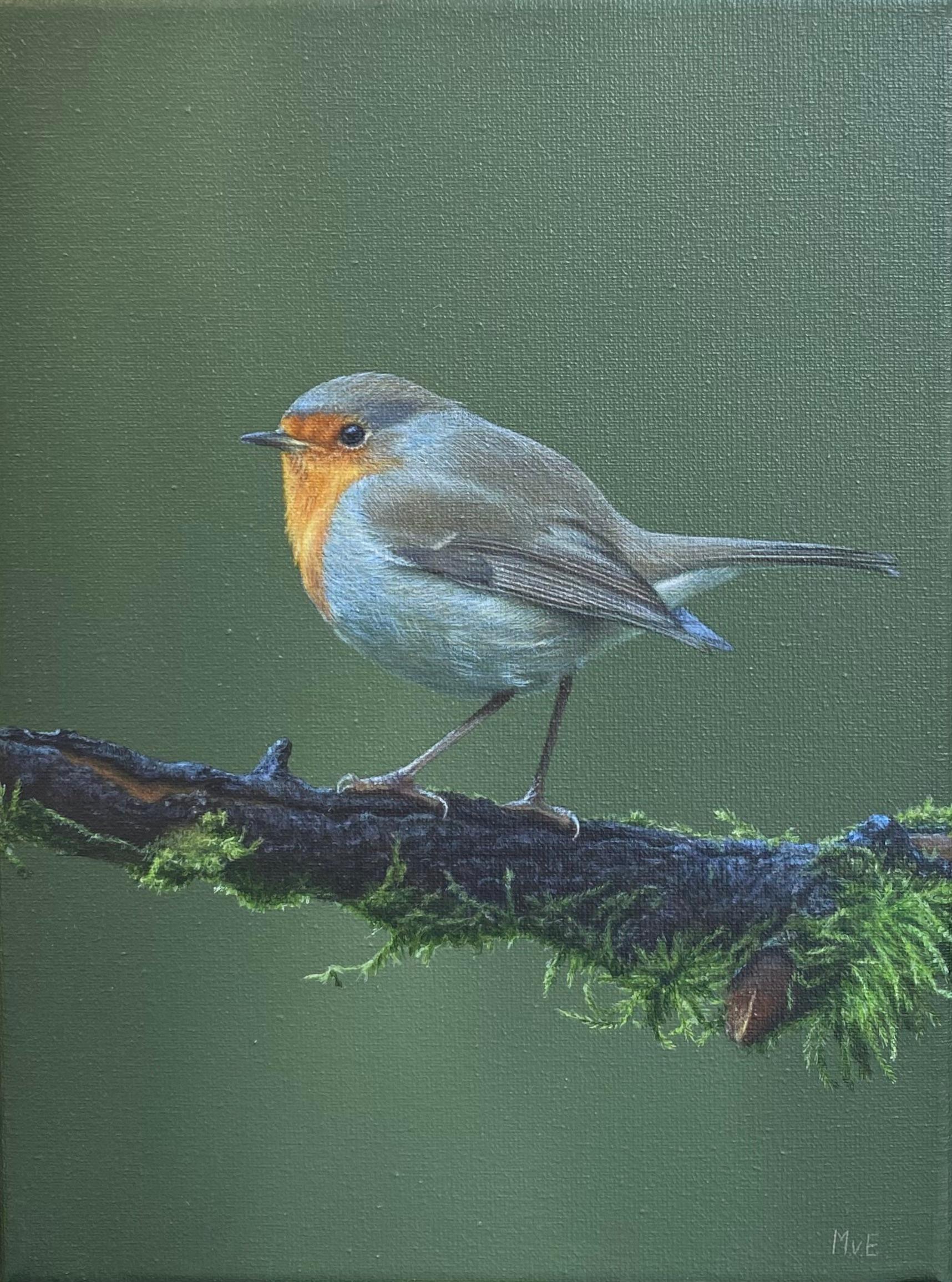 European Robin II - 21st Century Contemporary Acrylic Painting Red-Breasted Bird