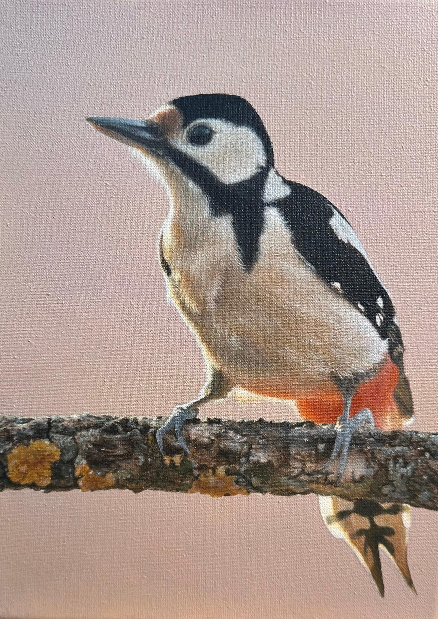 Maikel van Emmerik Animal Painting – Buntspecht - 21. Jahrhundert Zeitgenössische Acrylmalerei eines Vogels