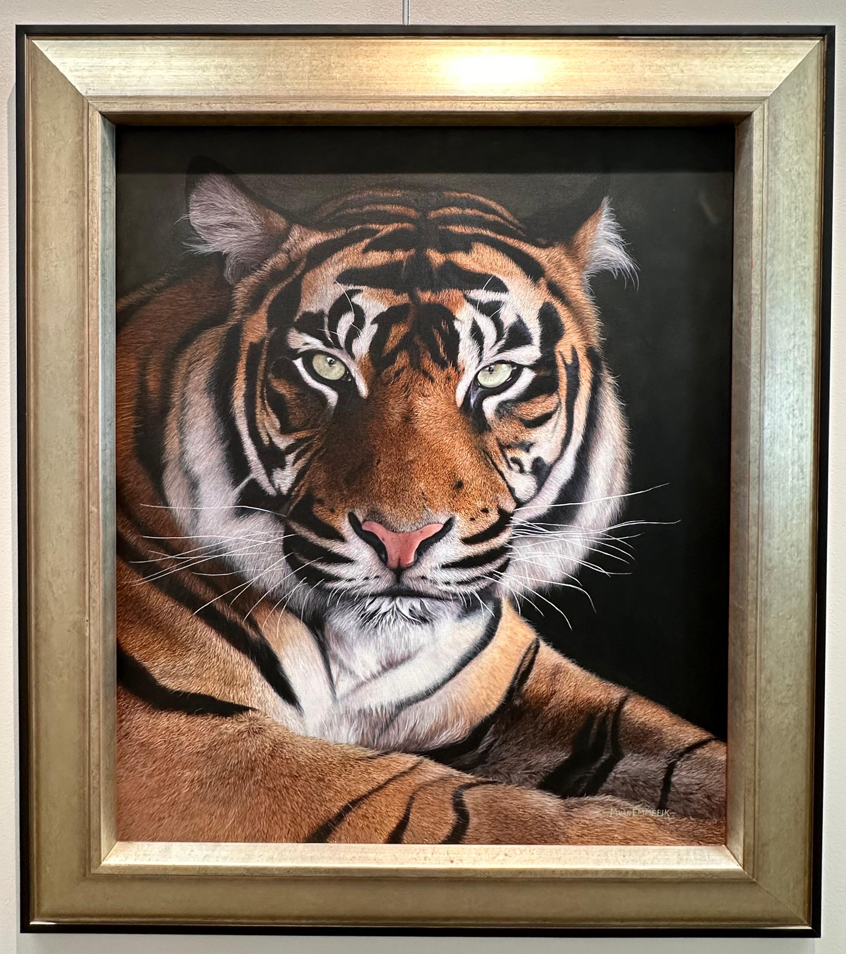Maikel van Emmerik
Tigre de Sumatra
70 x 60 cm ( enmarcado incluido en el precio 80 x 70 cm)
Pintura acrílica sobre lienzo

Maikel van Emmerik es un pintor holandés de naturaleza cuyo arte revela una profunda fascinación por la naturaleza y sus