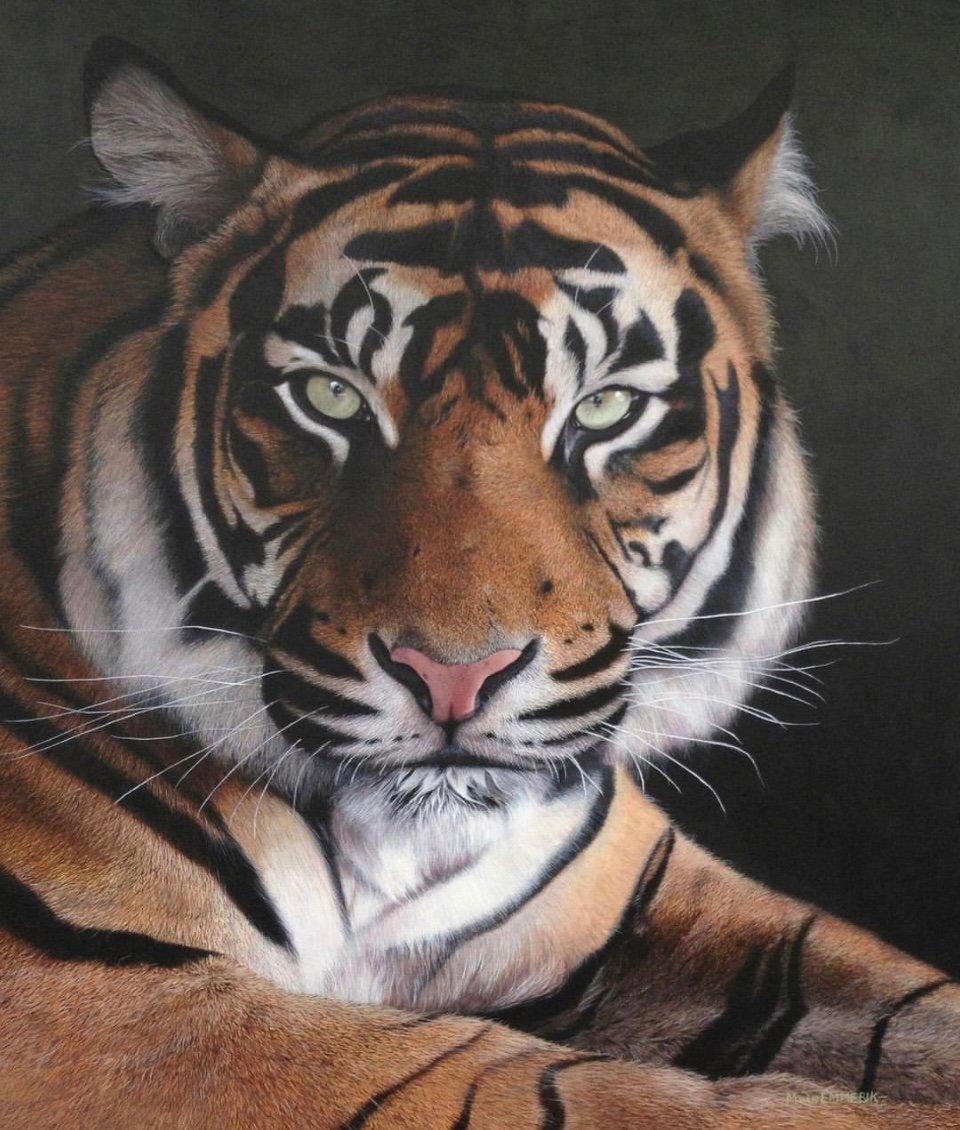 Animal Painting de Maikel van Emmerik - Tigre de Sumatra - Pintura acrílica contemporánea del siglo XXI de un tigre 2025