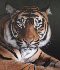 Animal Paintings