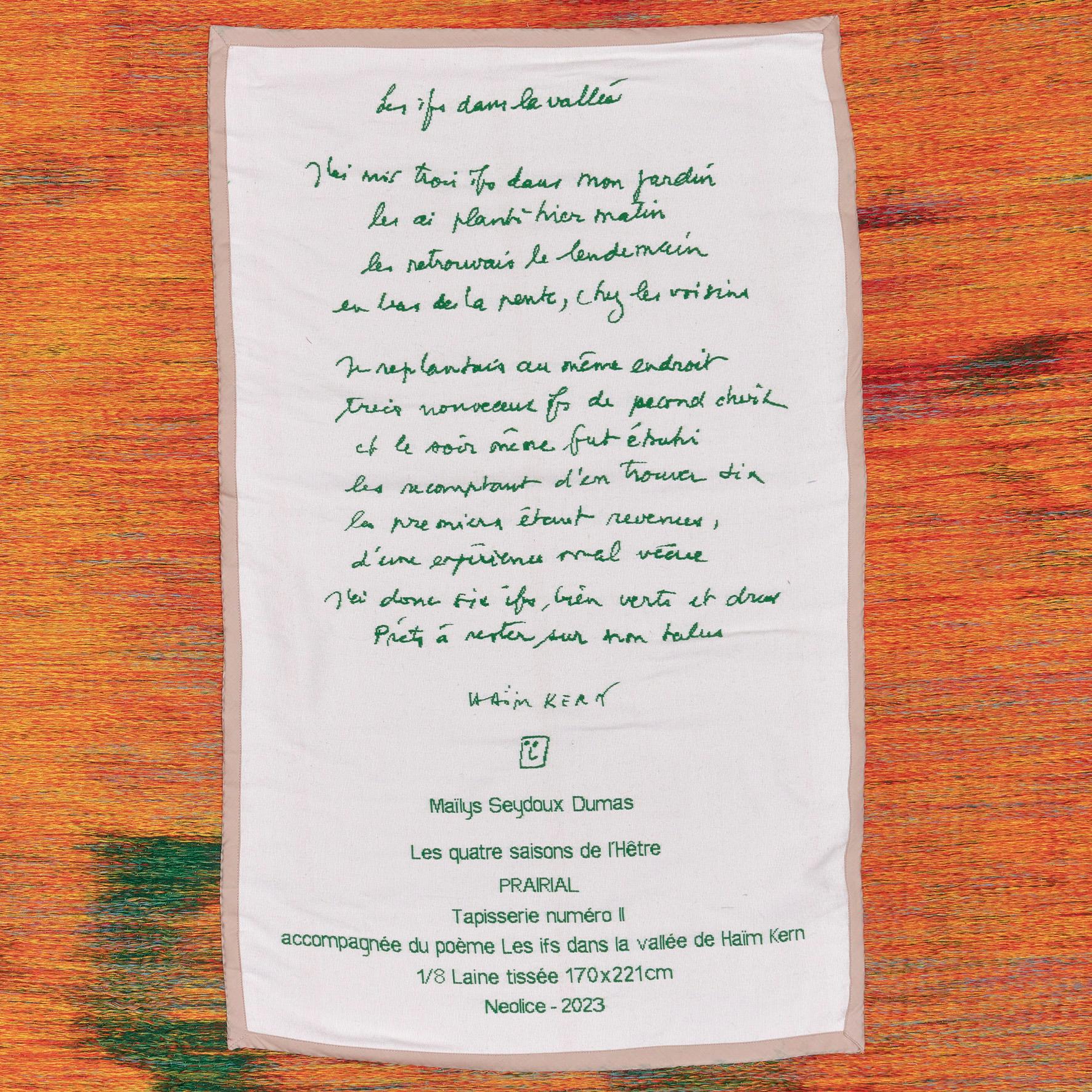 Maïlys Seydoux-Dumas, Prairial, Wandteppich aus Wolle, Néolice, 2023 im Zustand „Neu“ im Angebot in Paris, FR