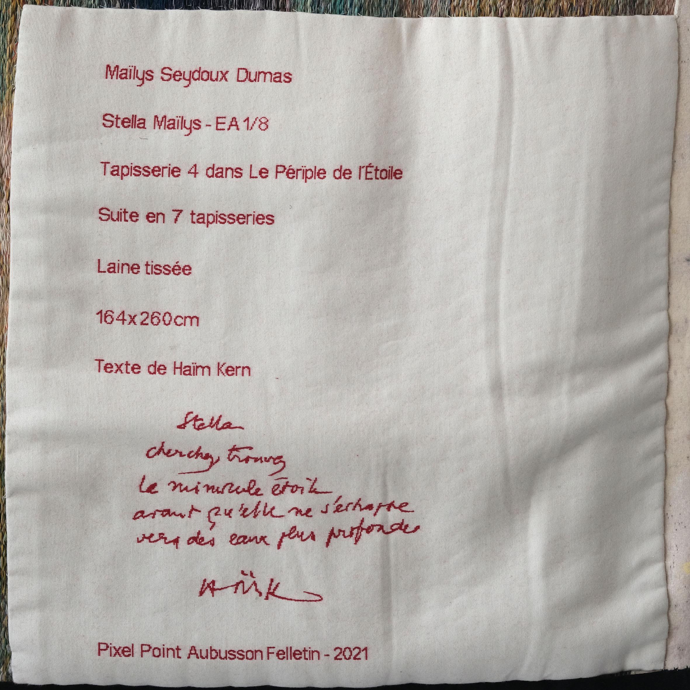 Maïlys Seydoux-Dumas, Stella Maïlys, Wool Tapestry, Néolice, 2021 In New Condition For Sale In Paris, FR