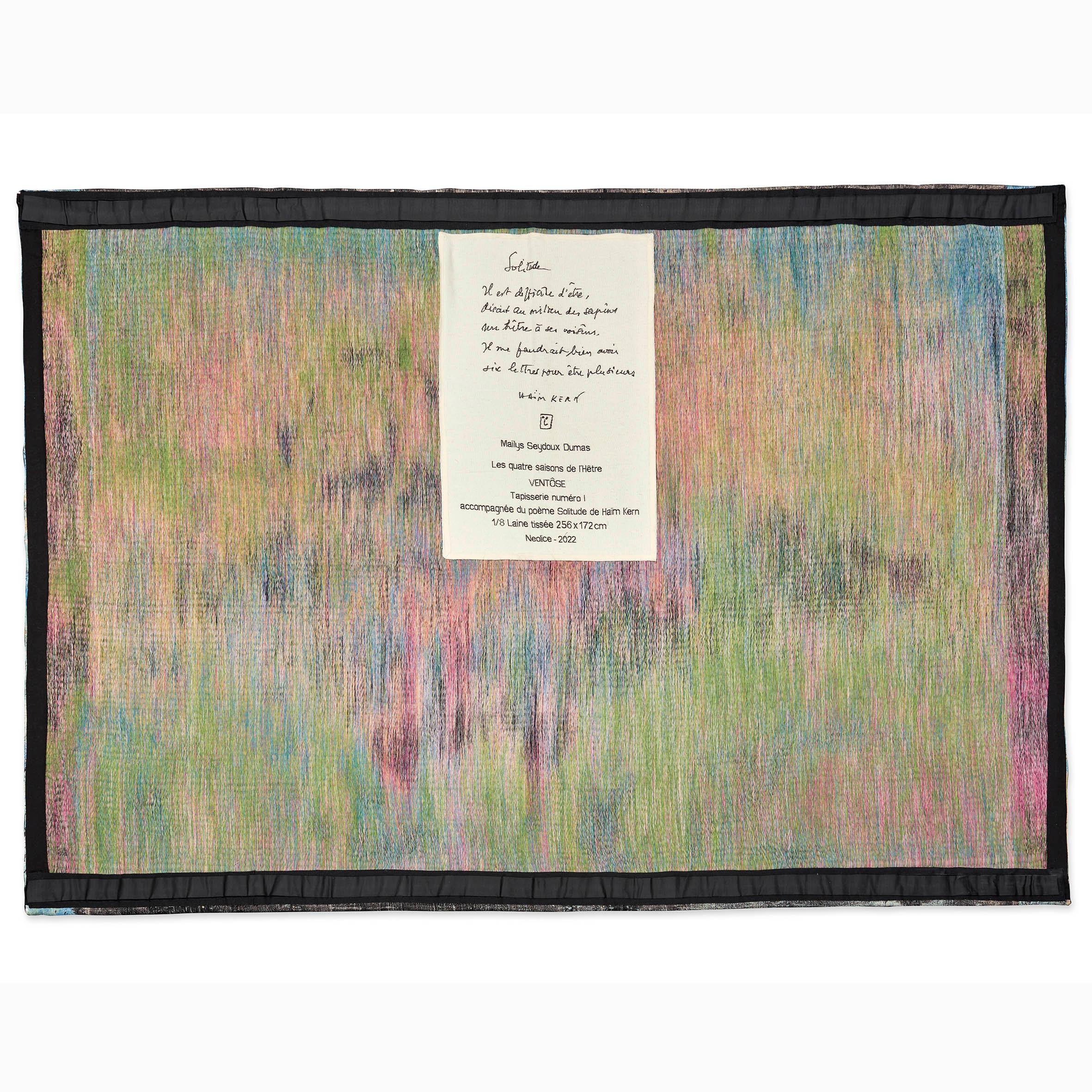Woven Maïlys Seydoux-Dumas, Ventôse, Wool Tapestry, Néolice, 2022 For Sale