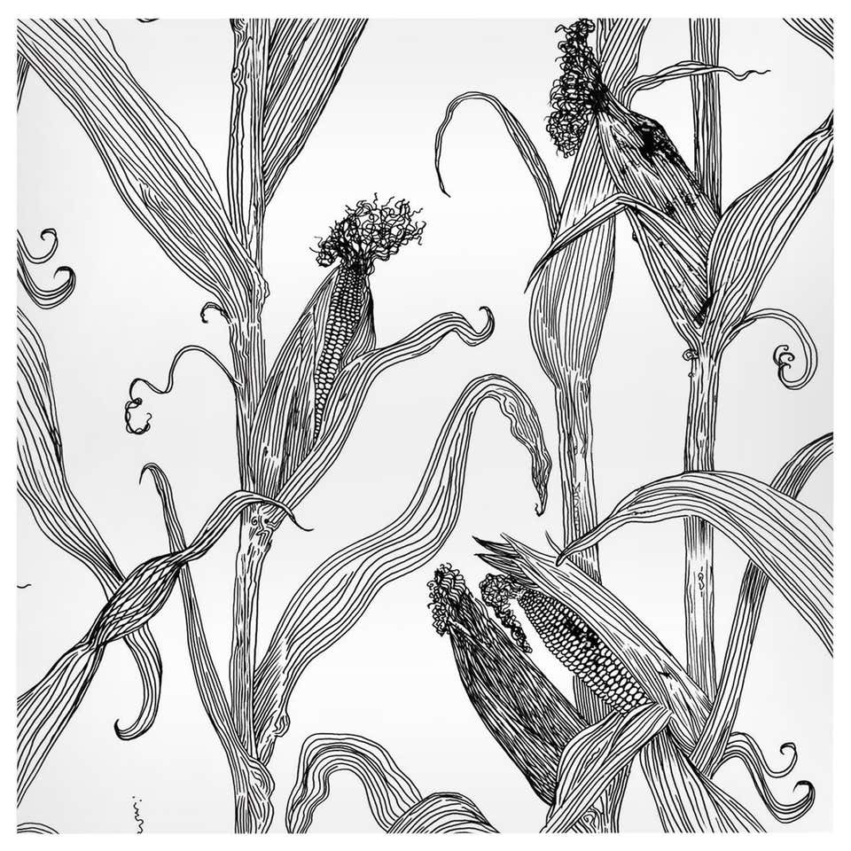 Black White Wallpaper - 109 For Sale on 1stDibs