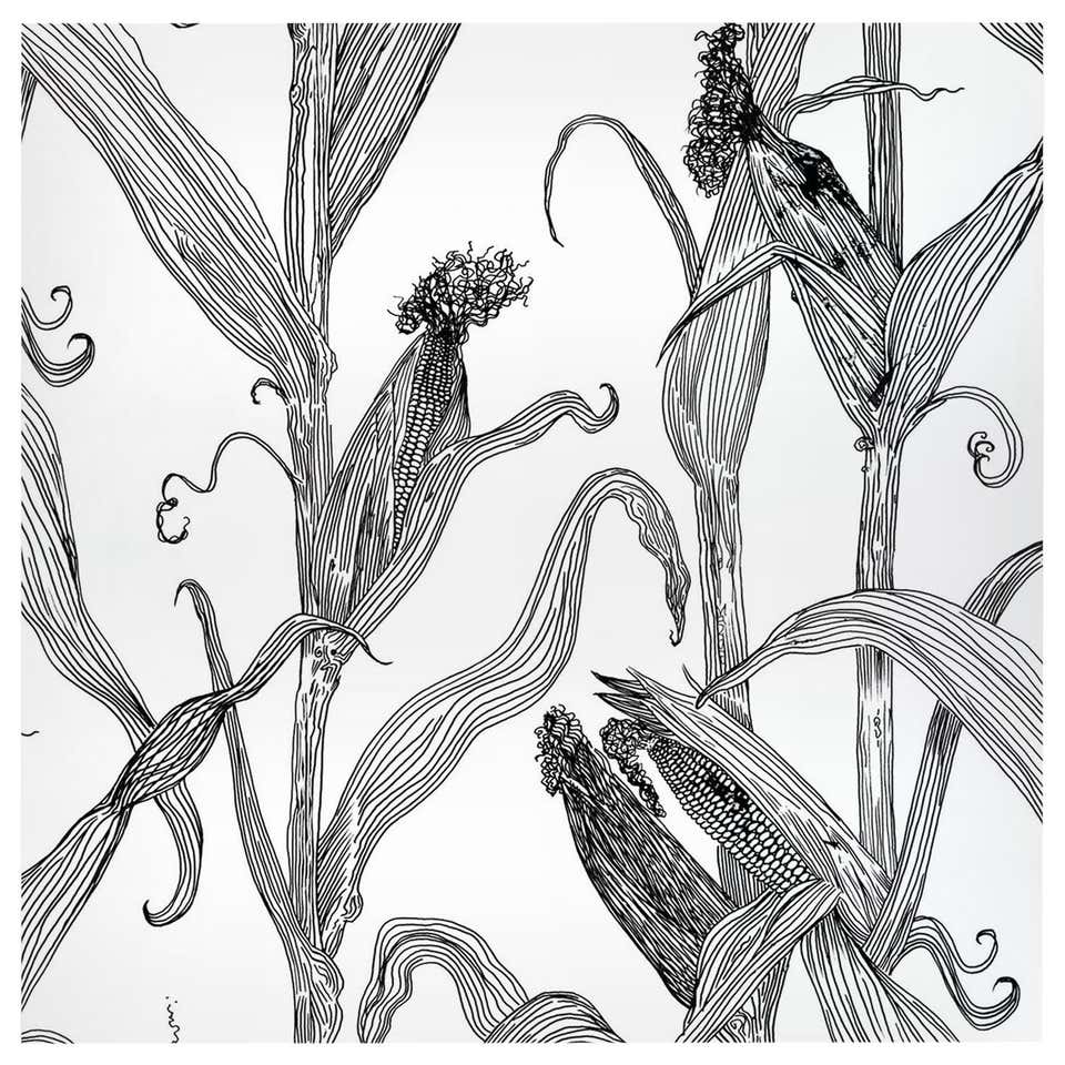 Black White Wallpaper - 109 For Sale on 1stDibs