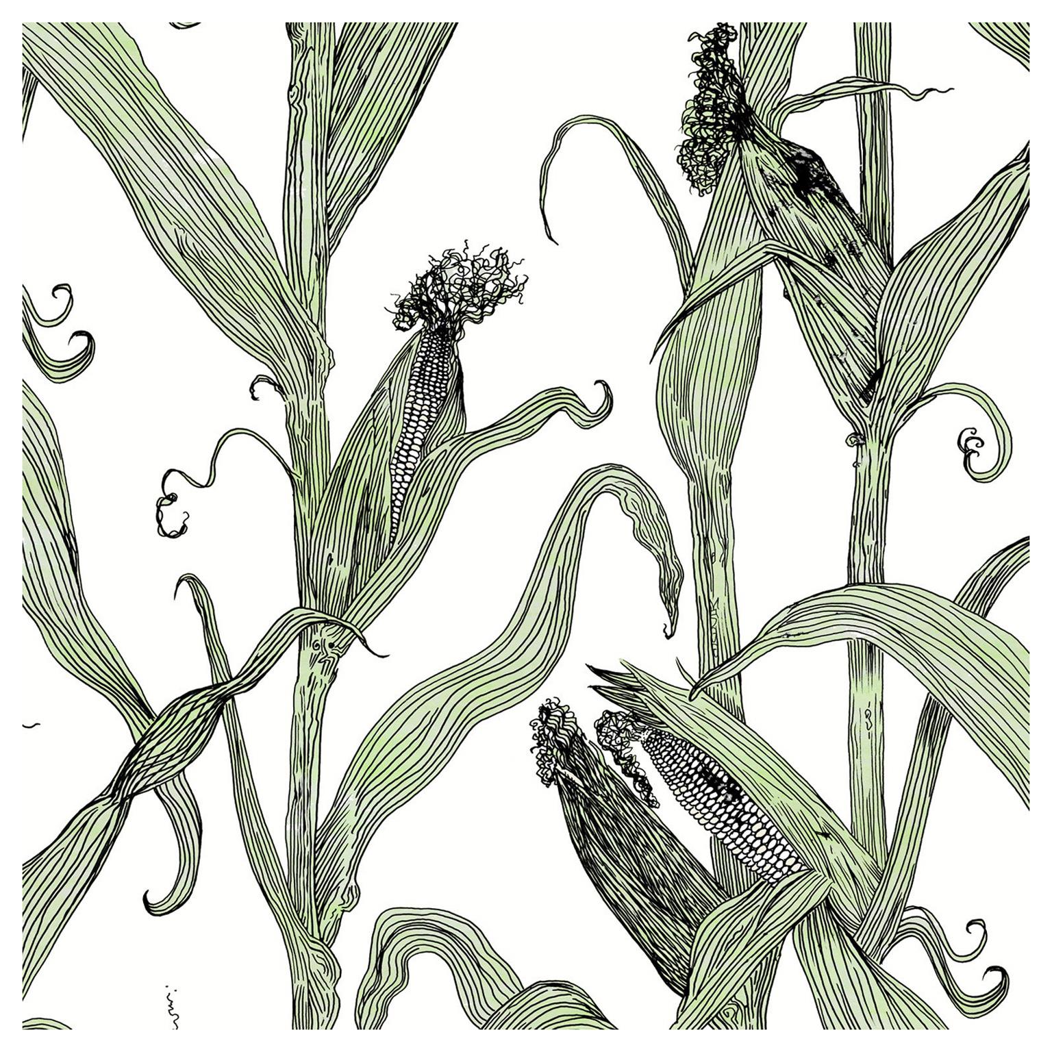 Mais-Green Leaf on White-Corn Printed Wallpaper For Sale