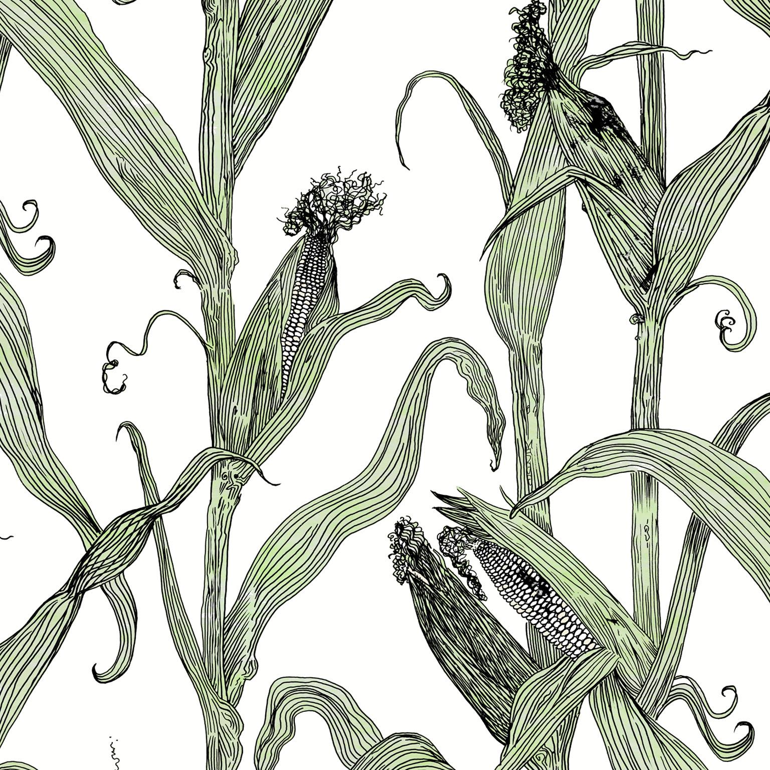 Mais-Green on White-Corn Printed Wallpaper For Sale 2