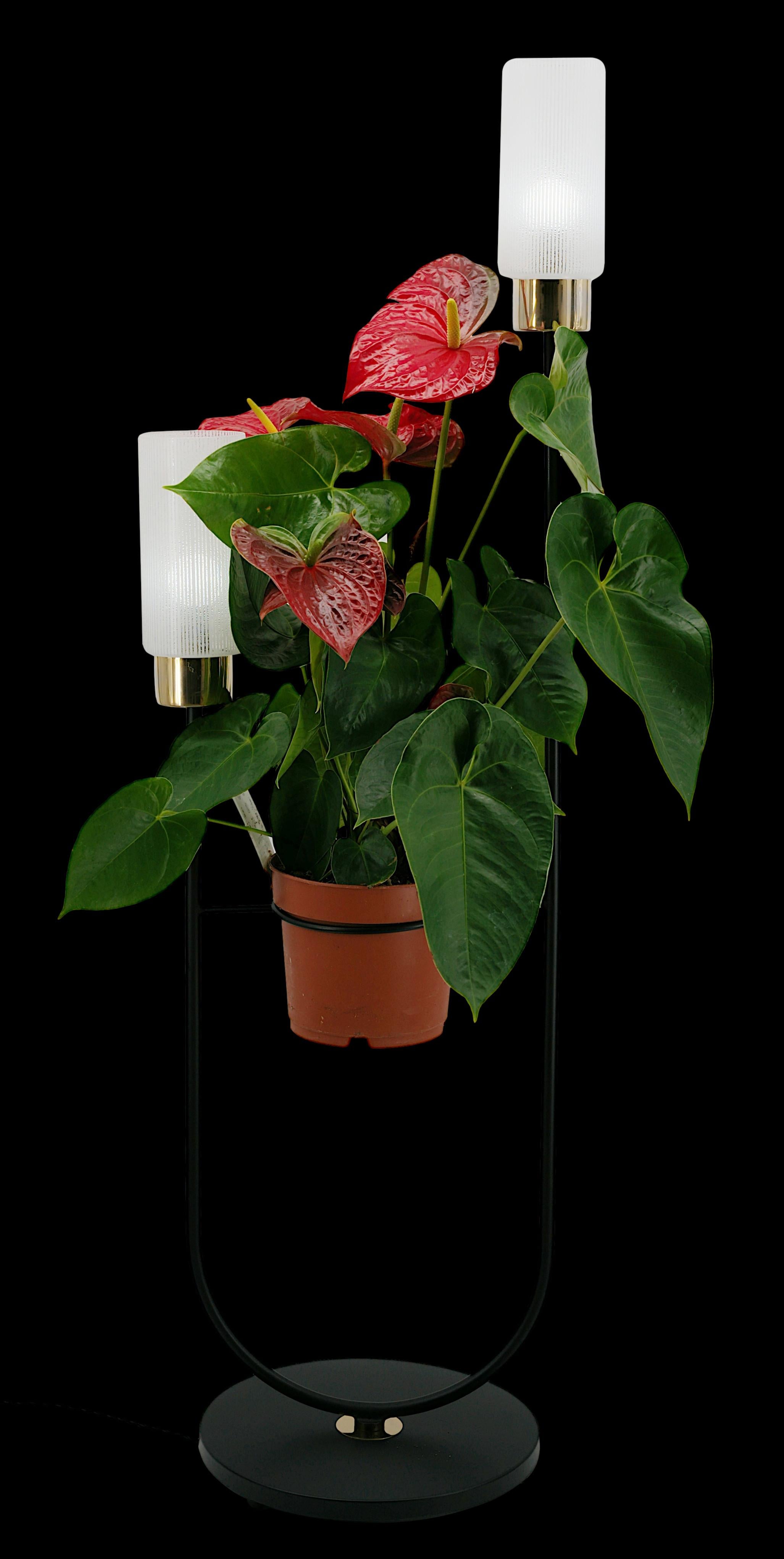 Maison ARLUS French Mid-Century Floor Lamp, 1950s For Sale 8