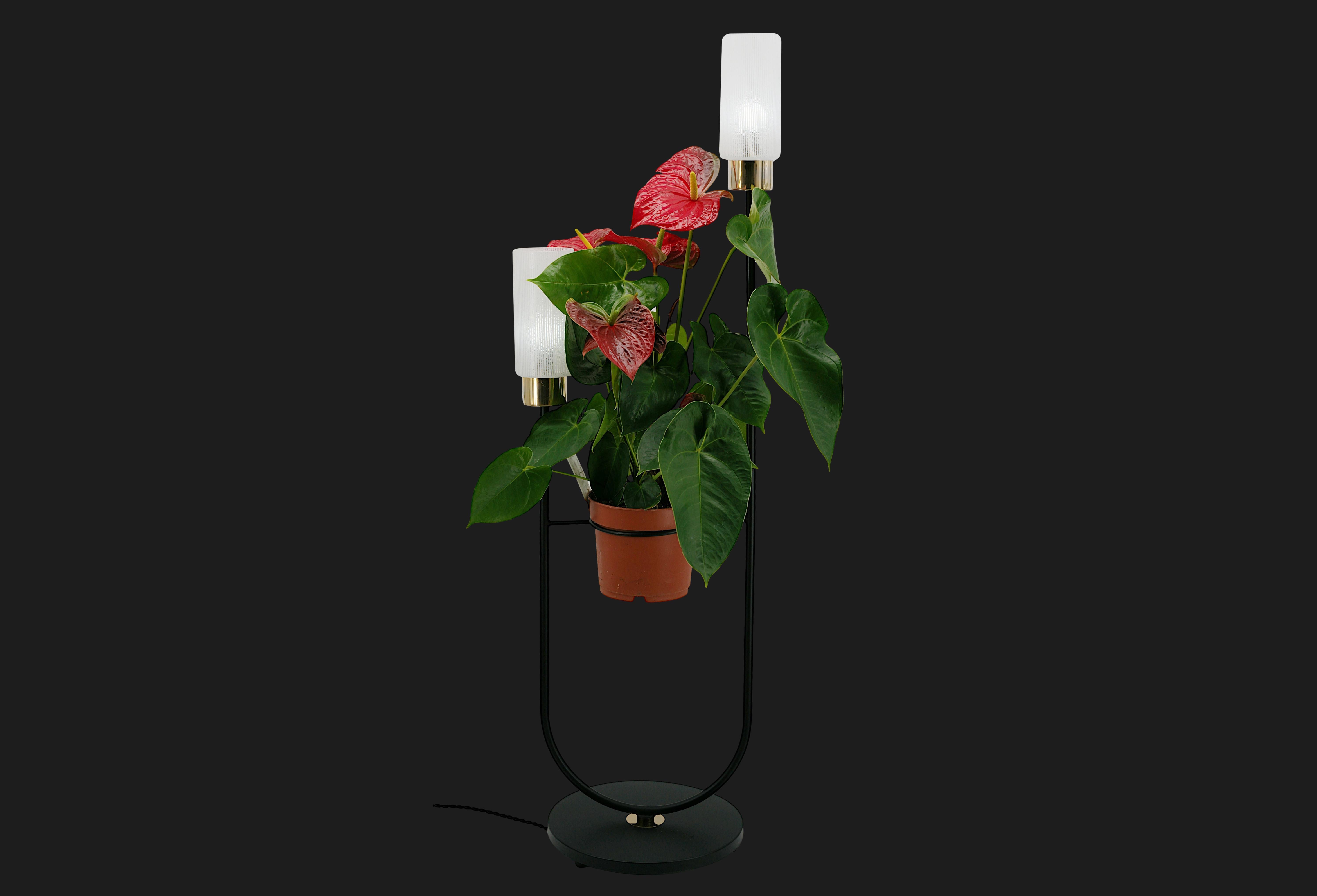 Mid-Century Modern Maison ARLUS French Mid-Century Floor Lamp, 1950s For Sale