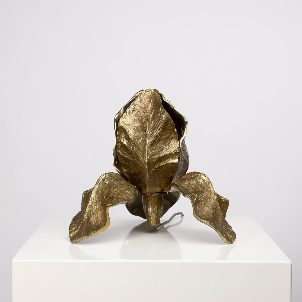 Iris table lamp in bronze and brass, the petals of the iris in bronze with a 
