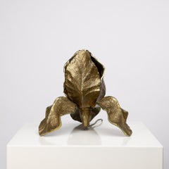 Maison Charles, France, Iris Table Lamp in Bronze and Brass