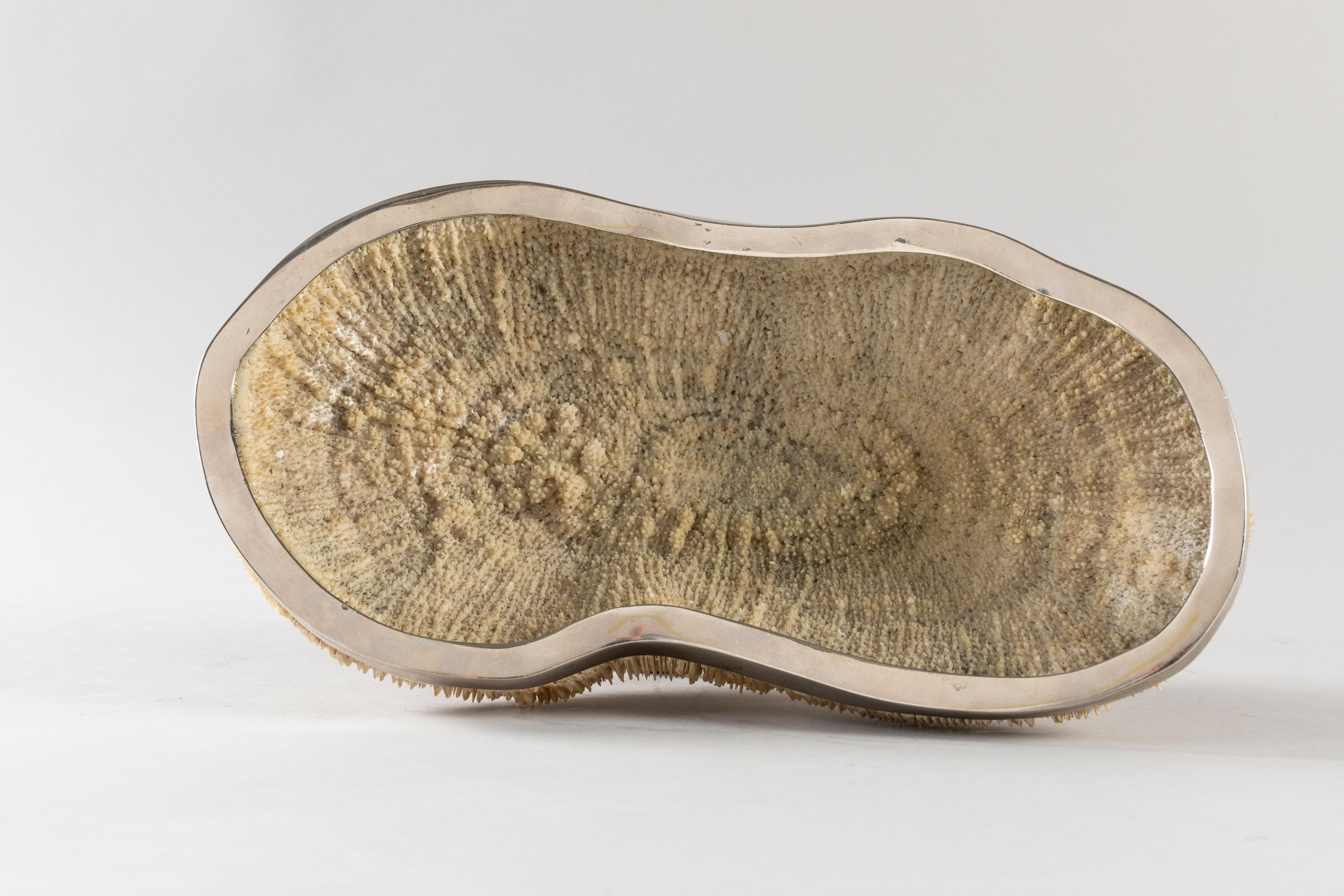French Maison Jansen Coral Container, 1970s For Sale