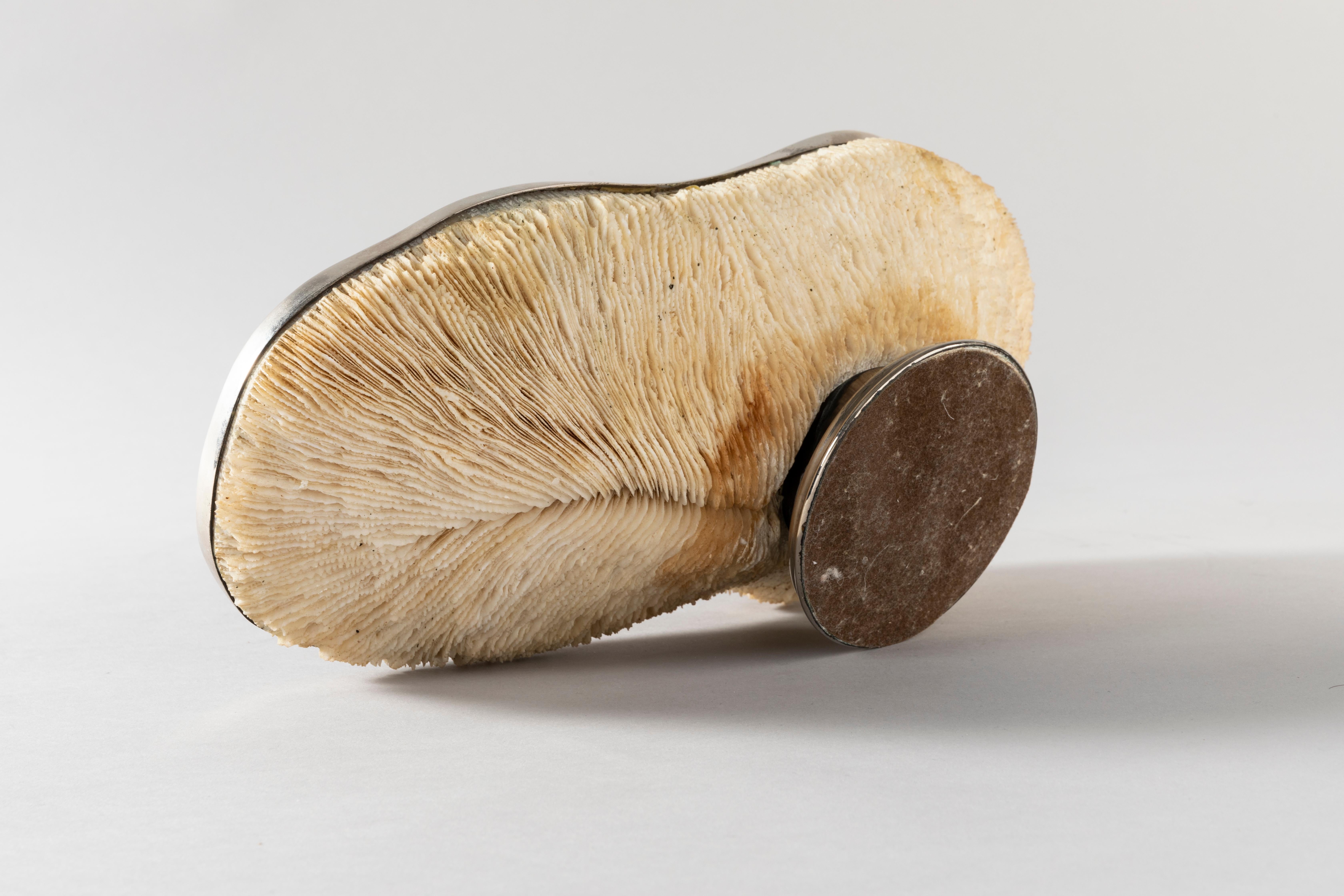Late 20th Century Maison Jansen Coral Container, 1970s For Sale