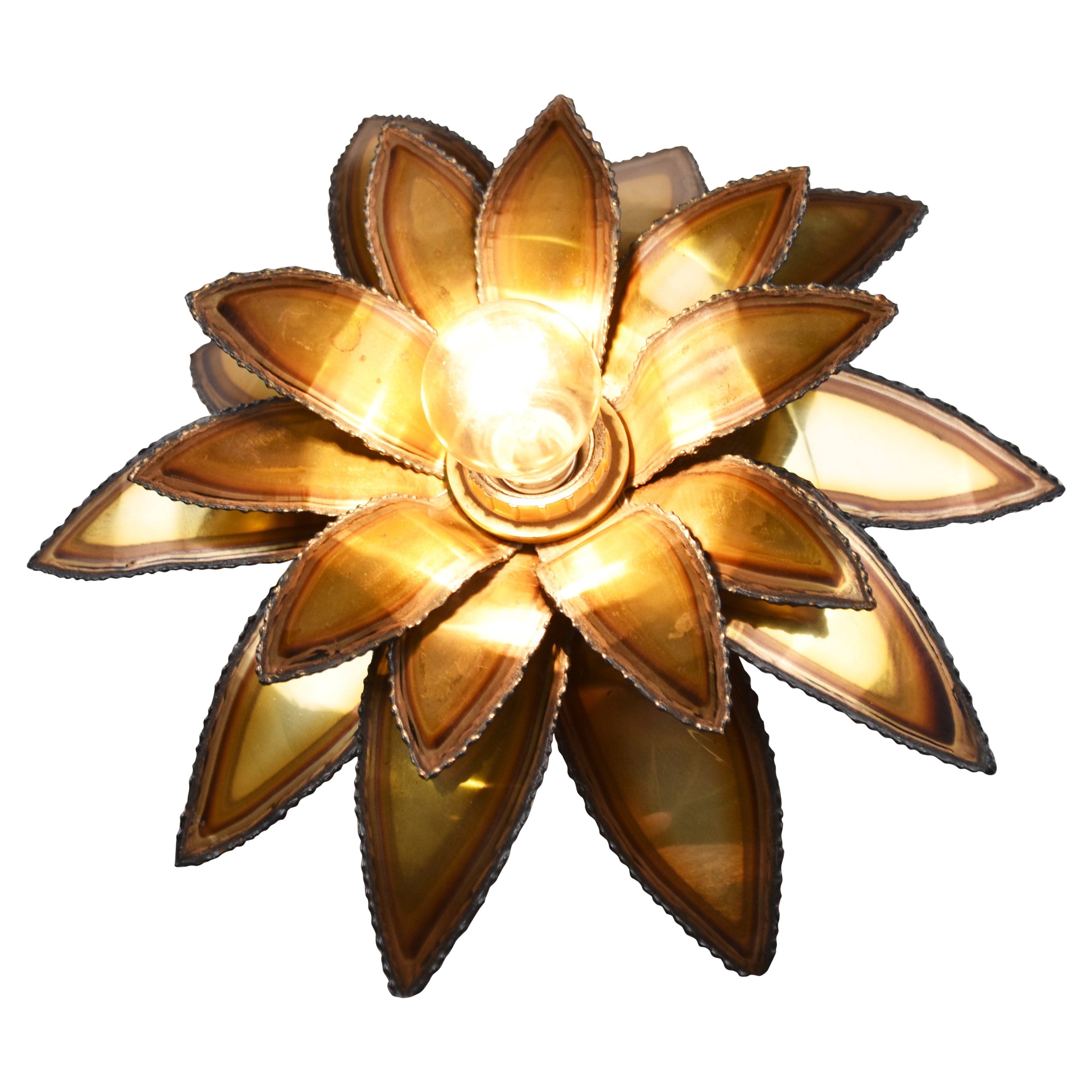 Maison Jansen Flower Wall Lamp, 1970s