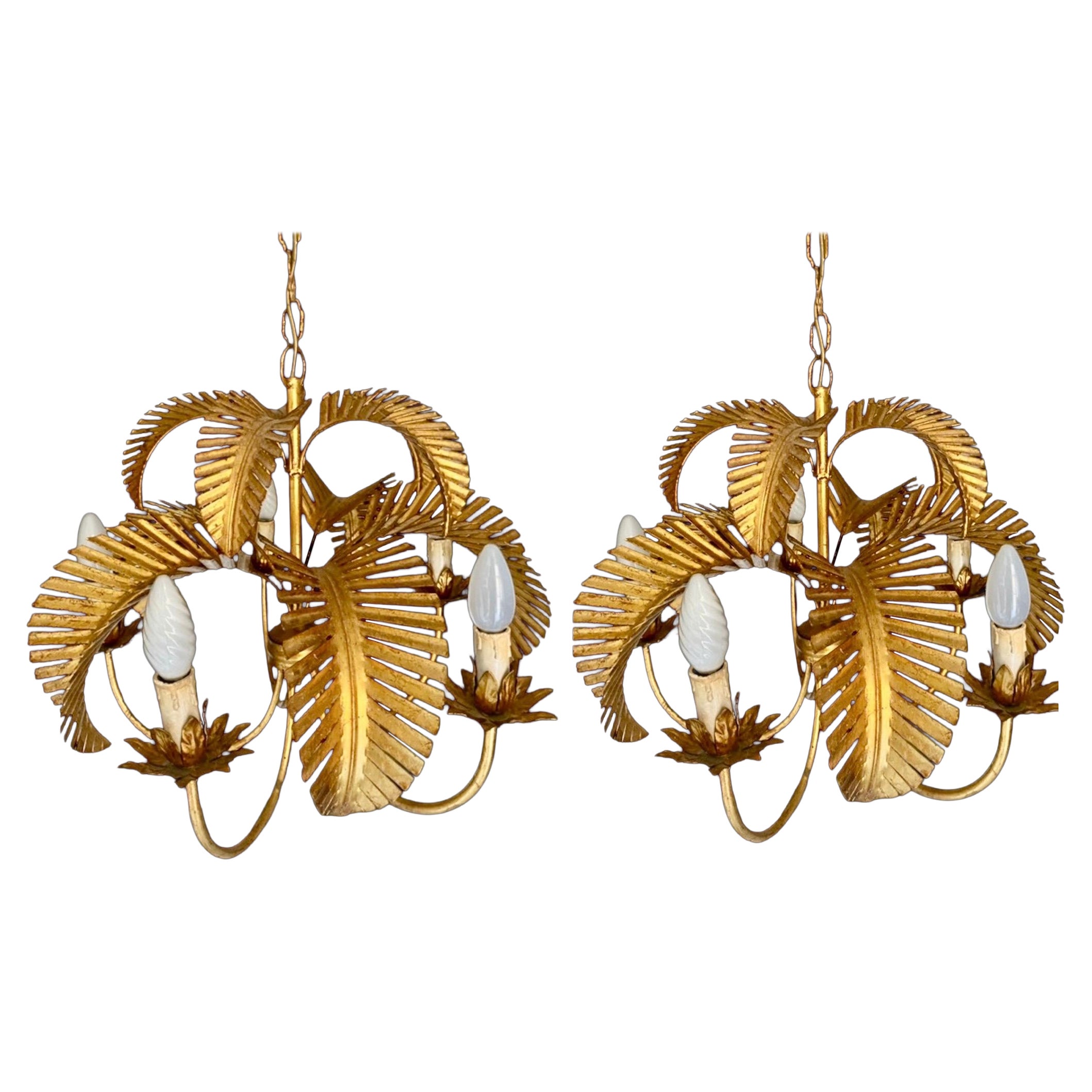 Maison Jansen Palm Kronleuchter vergoldet Unterstützung 5 Glühbirnen , Französisch 1970