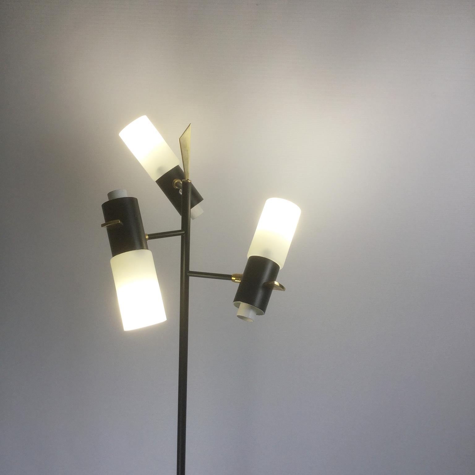 1950s Maison Lunel Floor Lamp Attributed to Jean Boris Lacroix, France For Sale 3