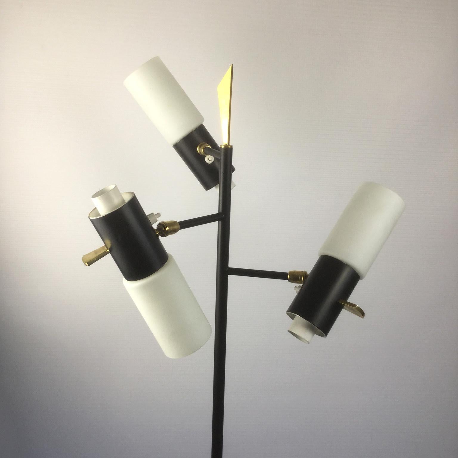 Mid-Century Modern 1950s Maison Lunel Floor Lamp Attributed to Jean Boris Lacroix, France For Sale