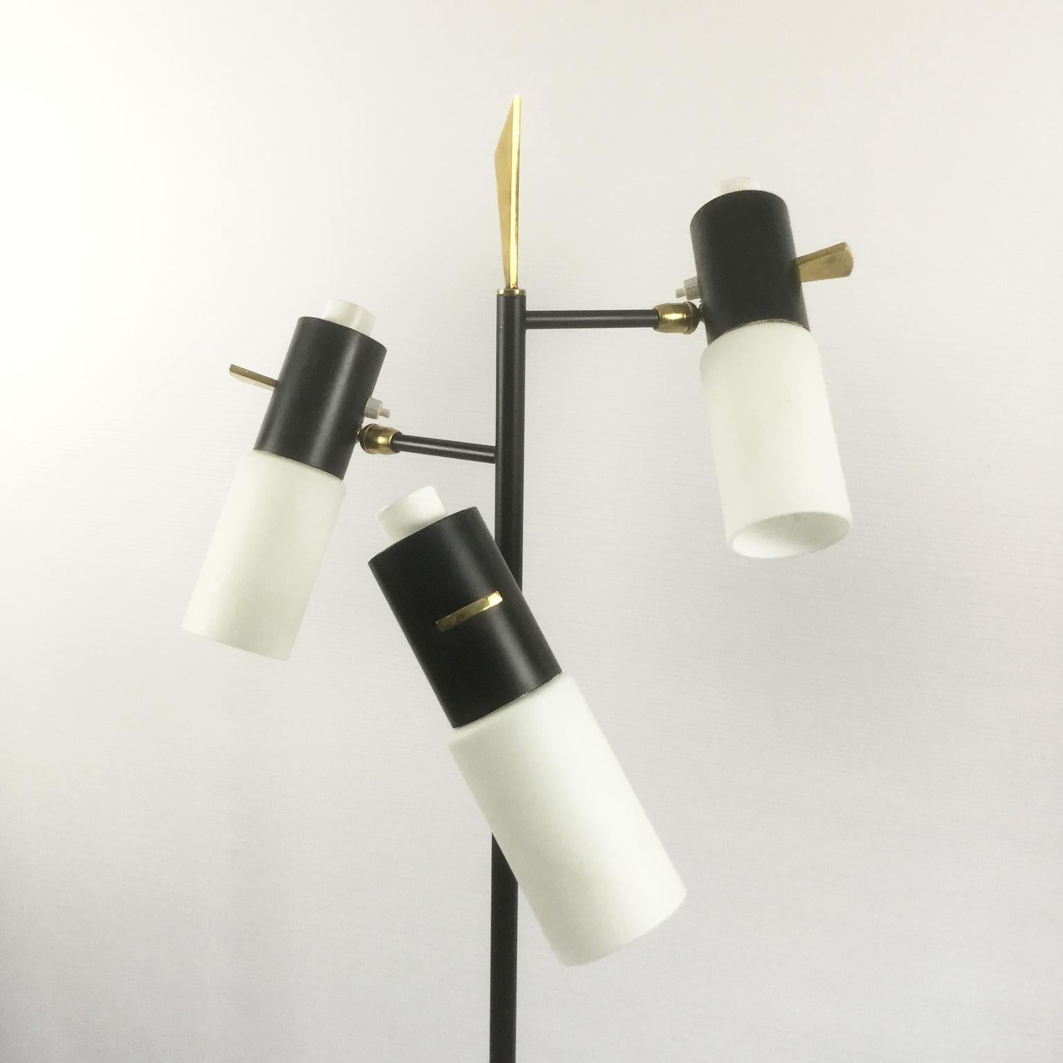 Mid-20th Century 1950s Maison Lunel Floor Lamp Attributed to Jean Boris Lacroix, France For Sale