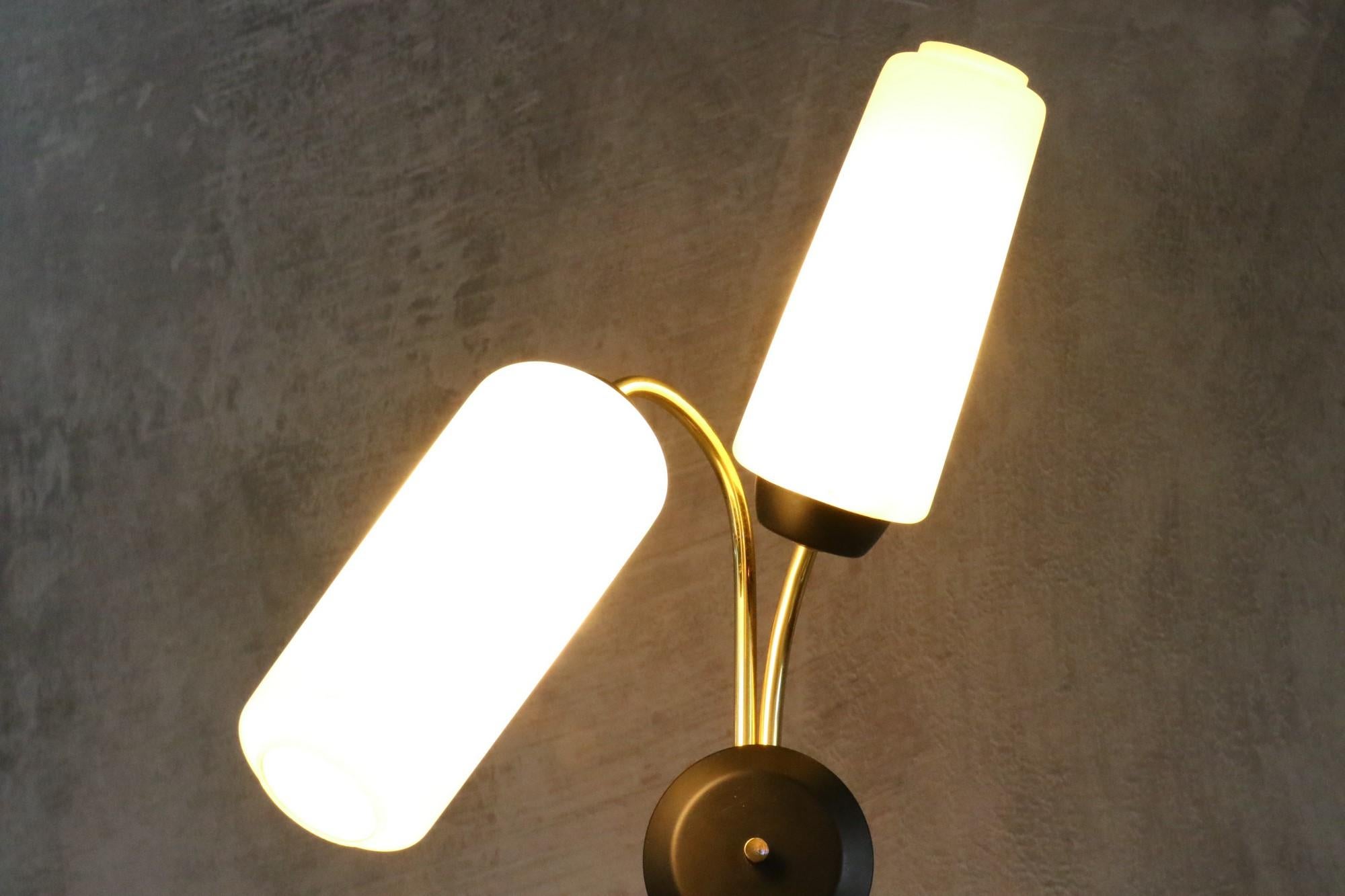 Maison Lunel, Pair of Mid-Century Modern Wall Lights, 1950s France For Sale 4