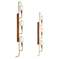 Vintage Maison Lunel Pair Of Mid-Century  Teak And Brass Wall Lights 1950s